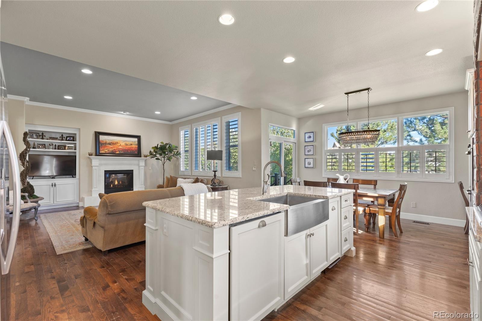 MLS Image #8 for 16201  belsay court,parker, Colorado