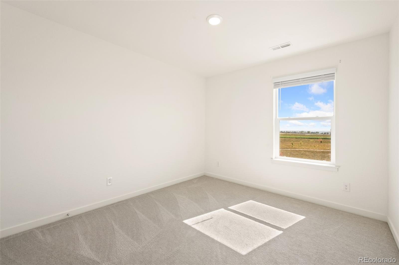 MLS Image #28 for 2410  pineywoods street,mead, Colorado