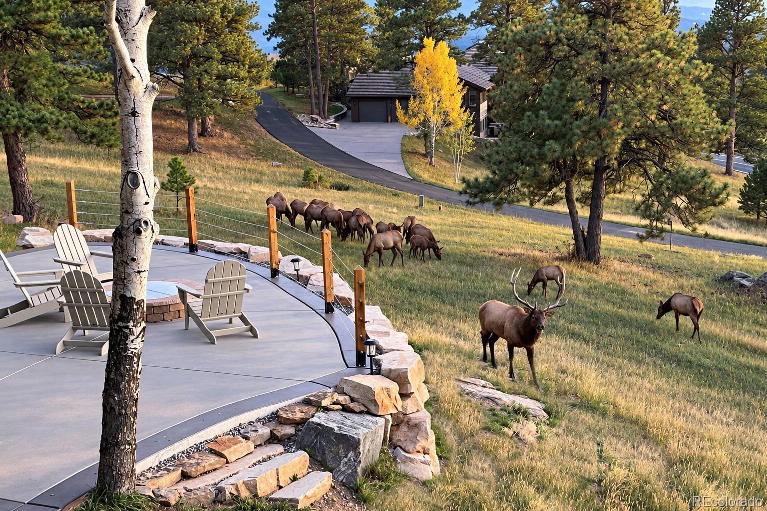 MLS Image #9 for 1614  foothills drive,golden, Colorado