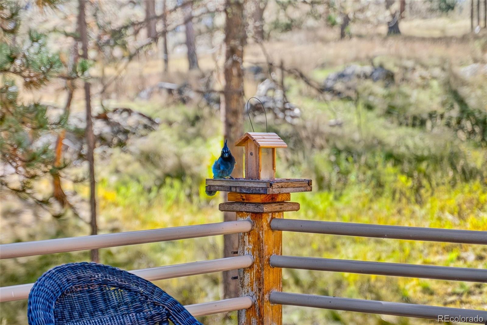 MLS Image #16 for 302  cottonwood drive,evergreen, Colorado