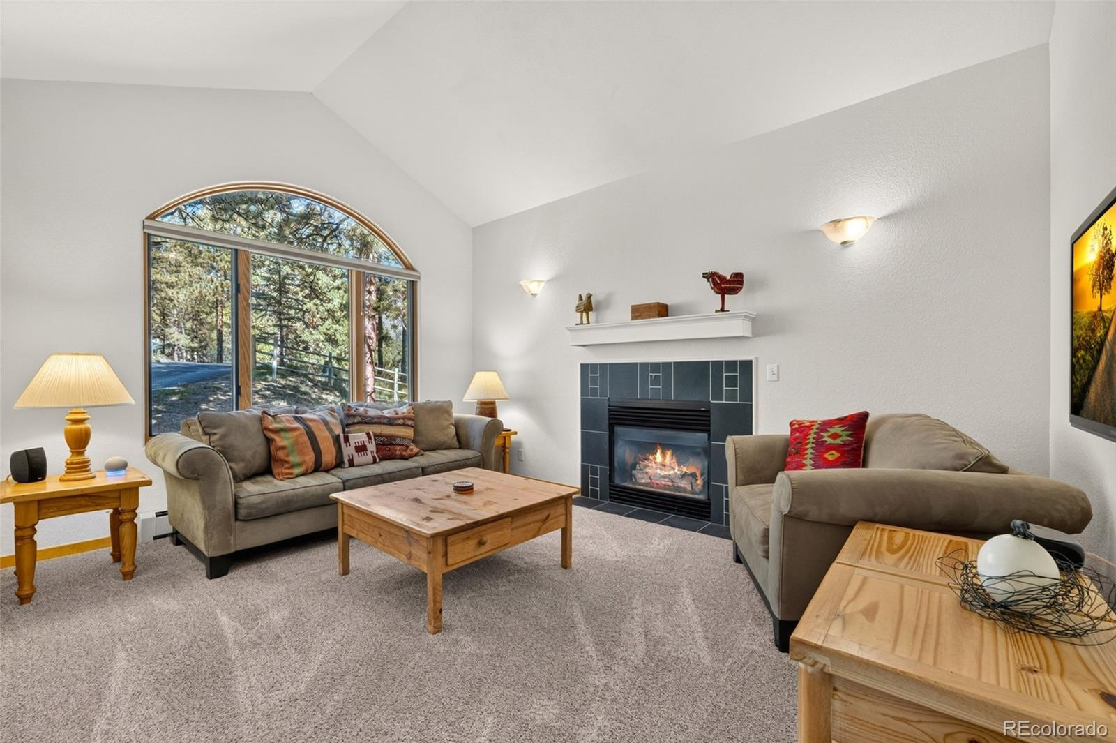 MLS Image #9 for 302  cottonwood drive,evergreen, Colorado