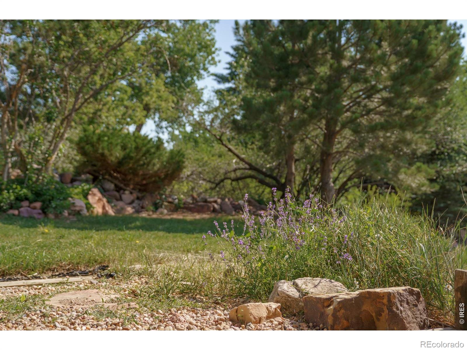 MLS Image #30 for 3735  wild plum court,boulder, Colorado
