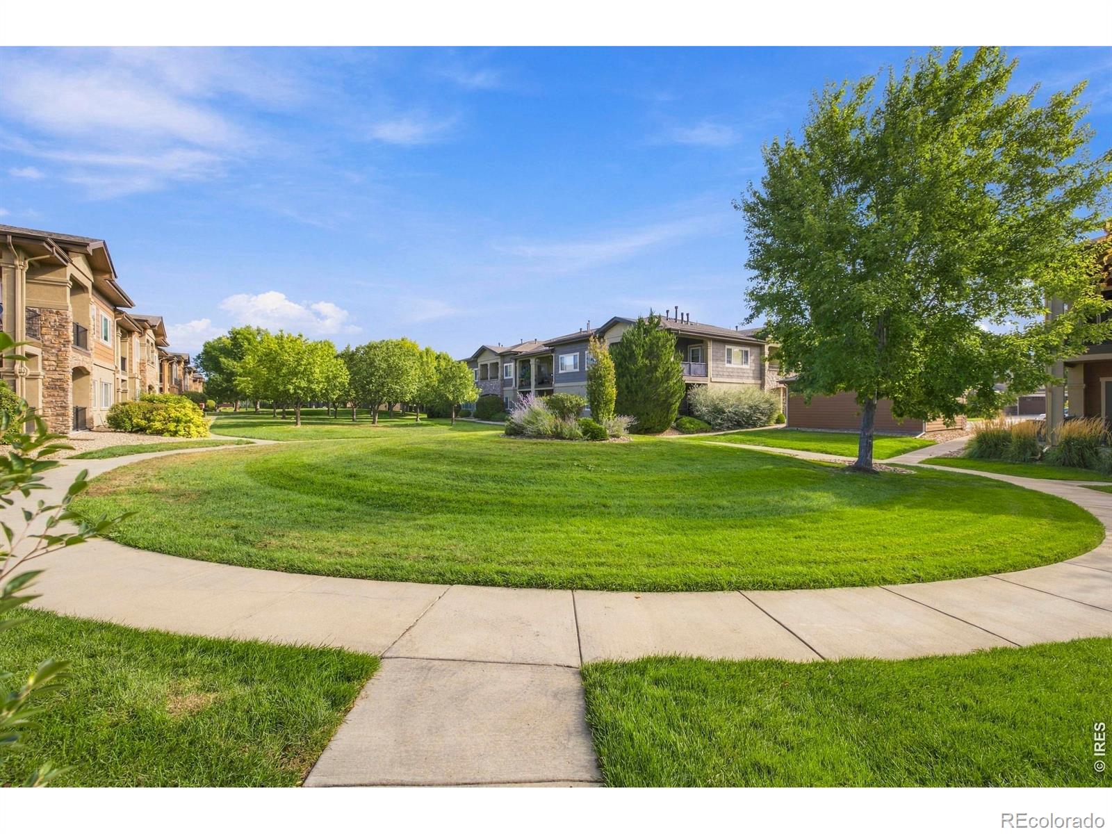 MLS Image #26 for 1108  olympia avenue,longmont, Colorado