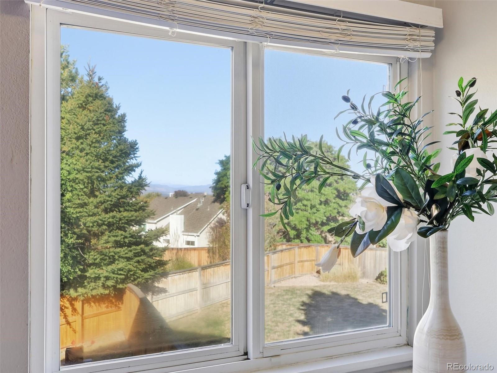 MLS Image #14 for 501  arden circle,highlands ranch, Colorado
