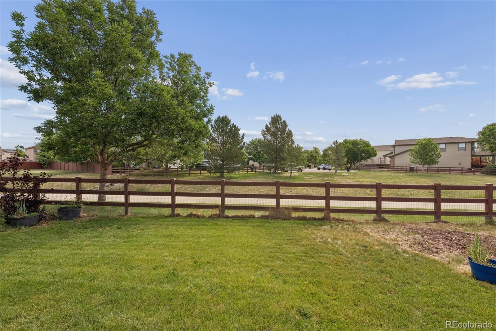 MLS Image #8 for 13224  ivy court,thornton, Colorado