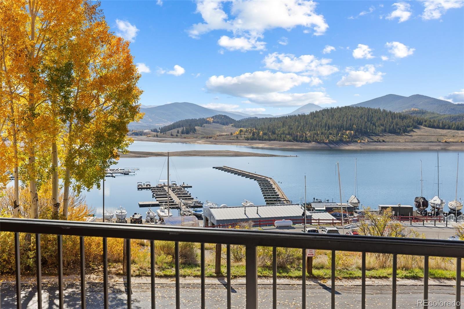 MLS Image #10 for 188 e la bonte street,dillon, Colorado