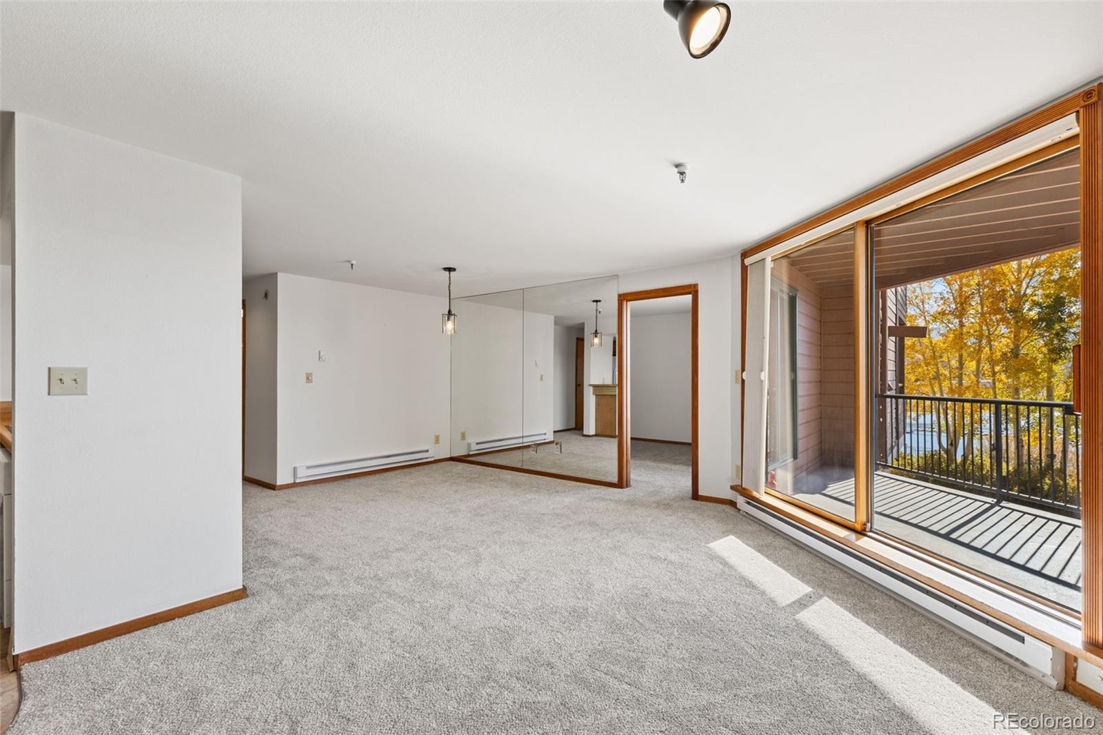 MLS Image #11 for 188 e la bonte street,dillon, Colorado