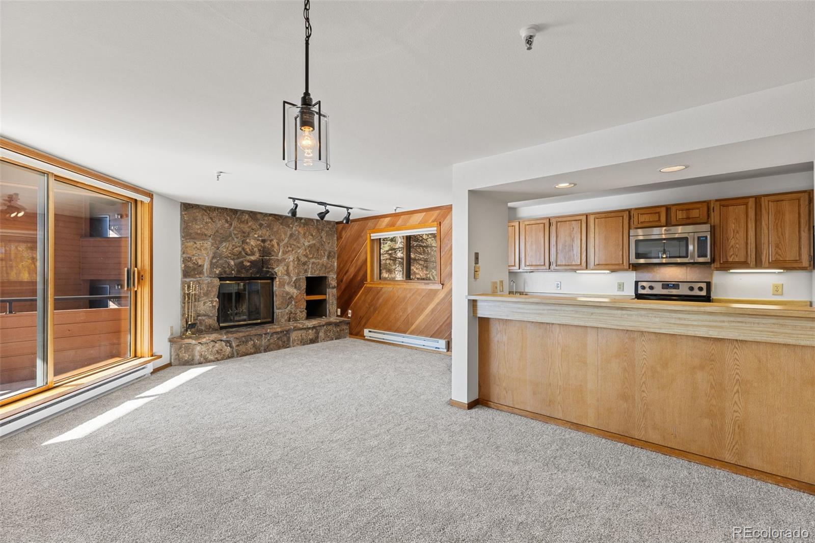 MLS Image #13 for 188 e la bonte street,dillon, Colorado