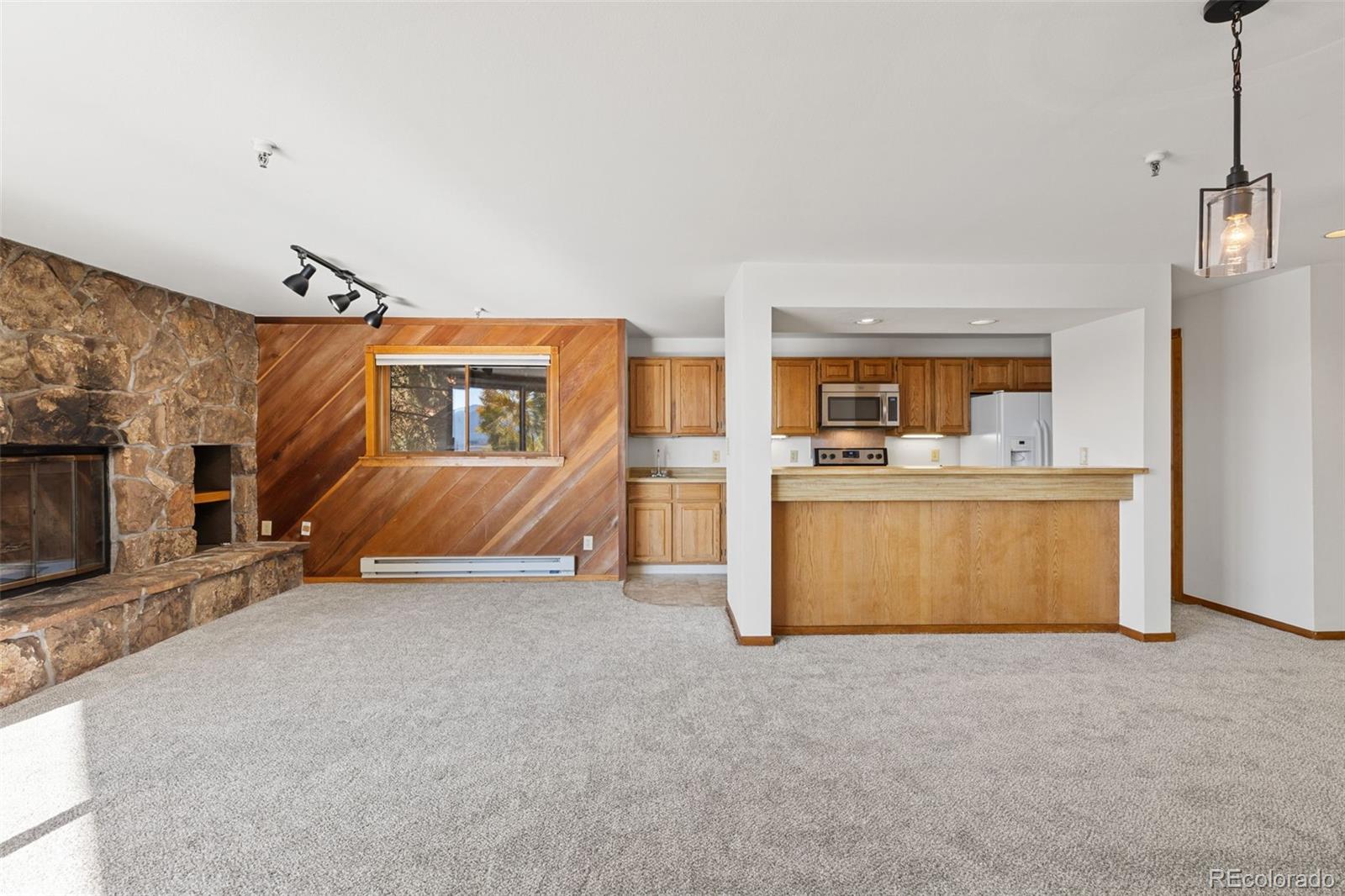 MLS Image #15 for 188 e la bonte street,dillon, Colorado