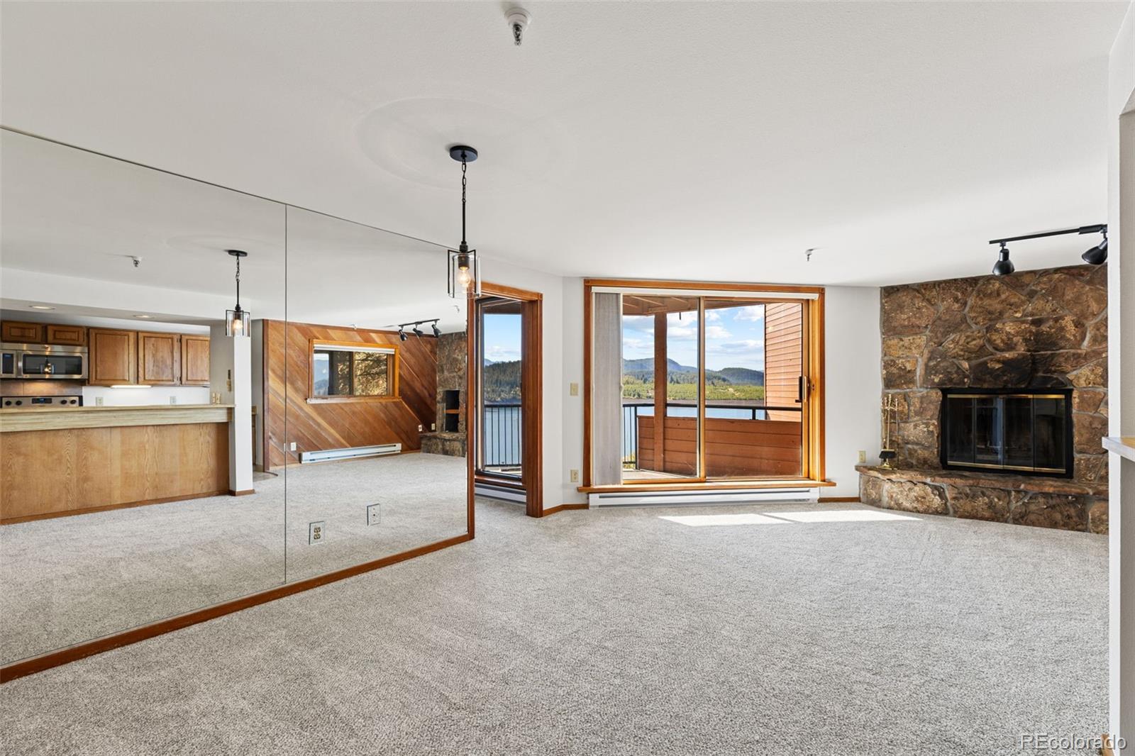 MLS Image #5 for 188 e la bonte street,dillon, Colorado