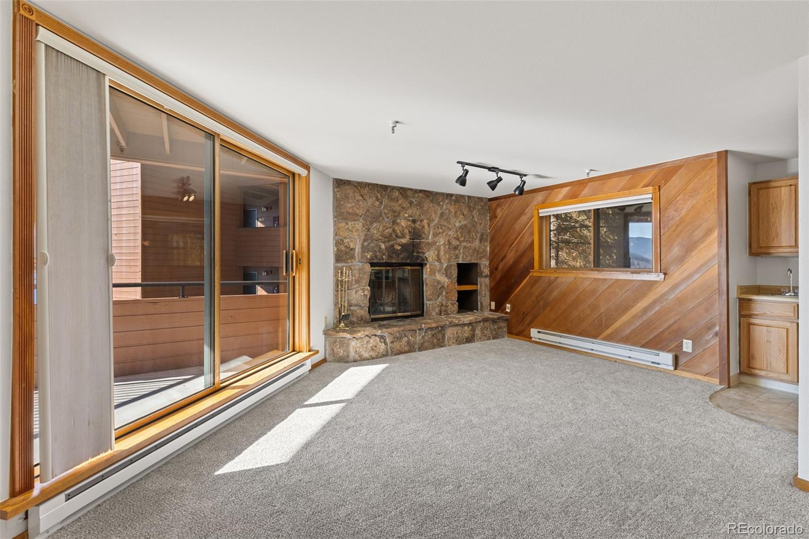 MLS Image #6 for 188 e la bonte street,dillon, Colorado