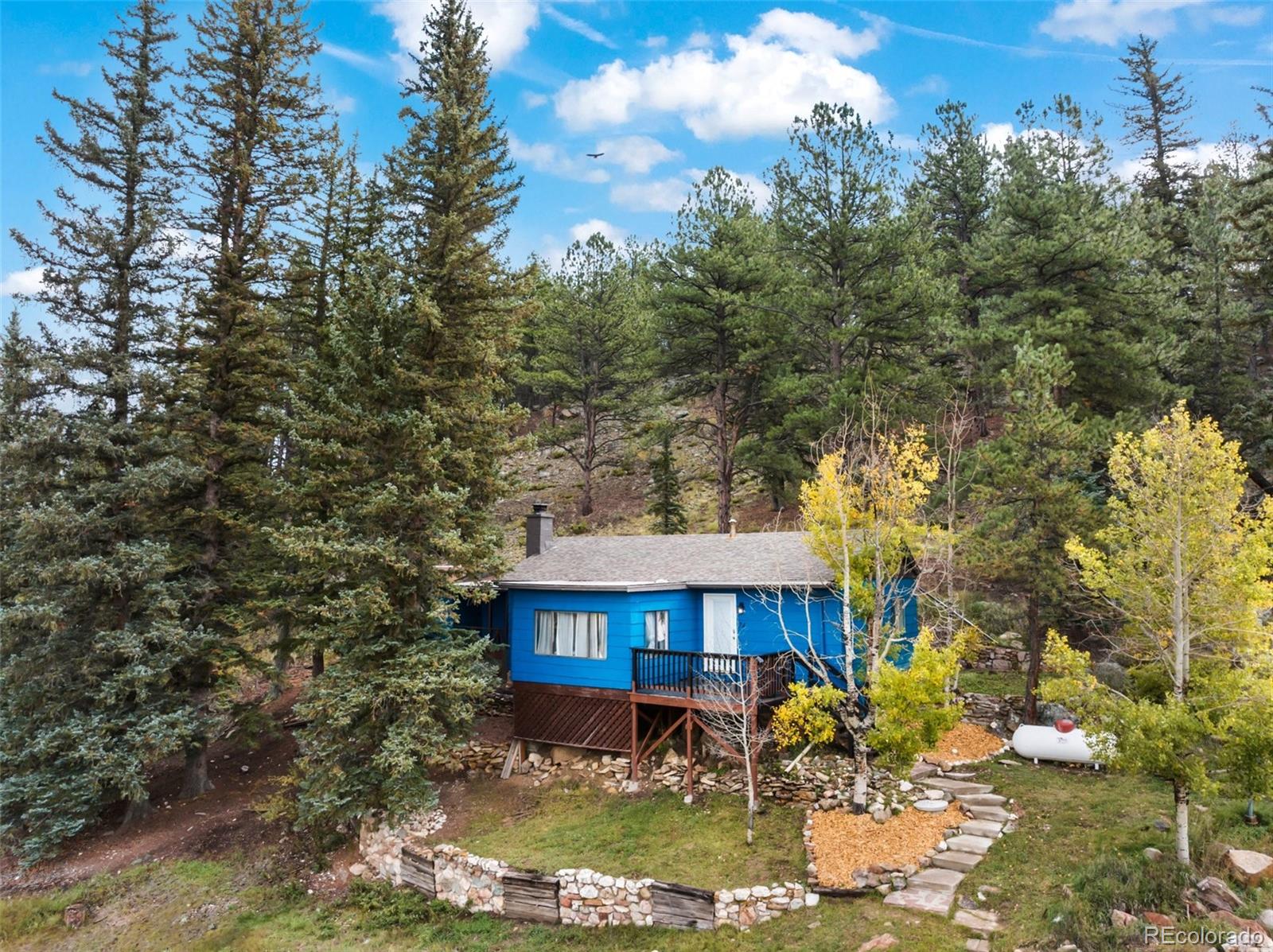 MLS Image #23 for 74  brook-by-way ,florissant, Colorado