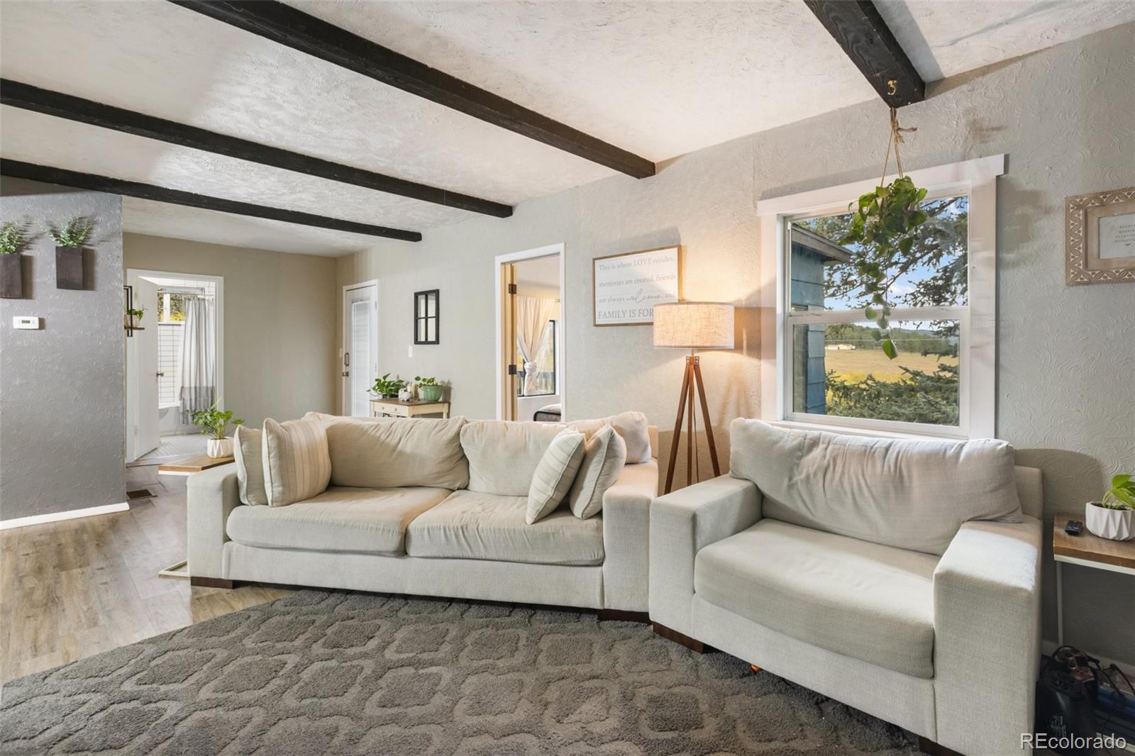 MLS Image #3 for 74  brook-by-way ,florissant, Colorado