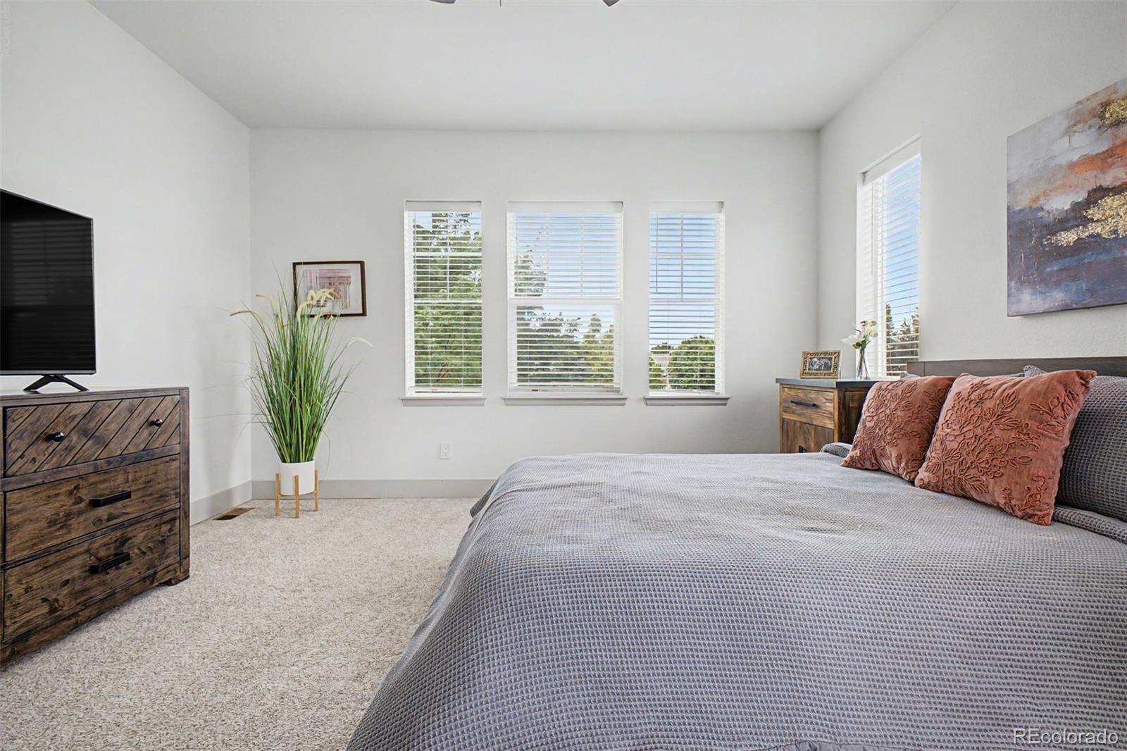 MLS Image #14 for 1424  bluemoon drive,longmont, Colorado