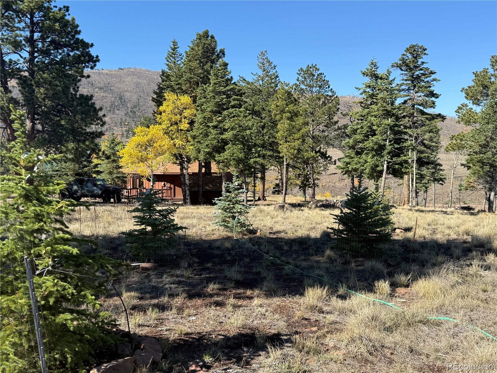 MLS Image #2 for 707-708  marriott circle,fort garland, Colorado