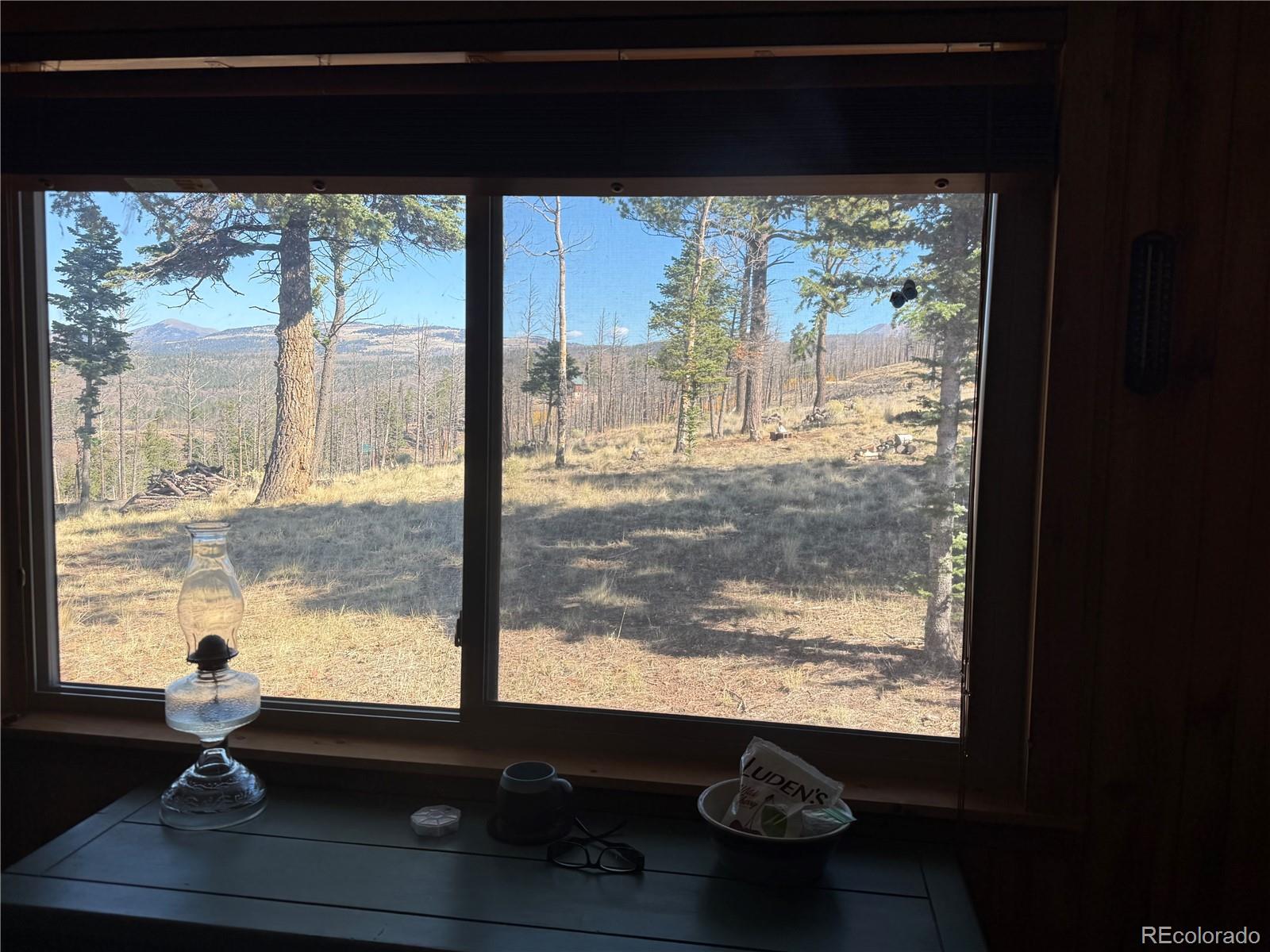MLS Image #21 for 707-708  marriott circle,fort garland, Colorado
