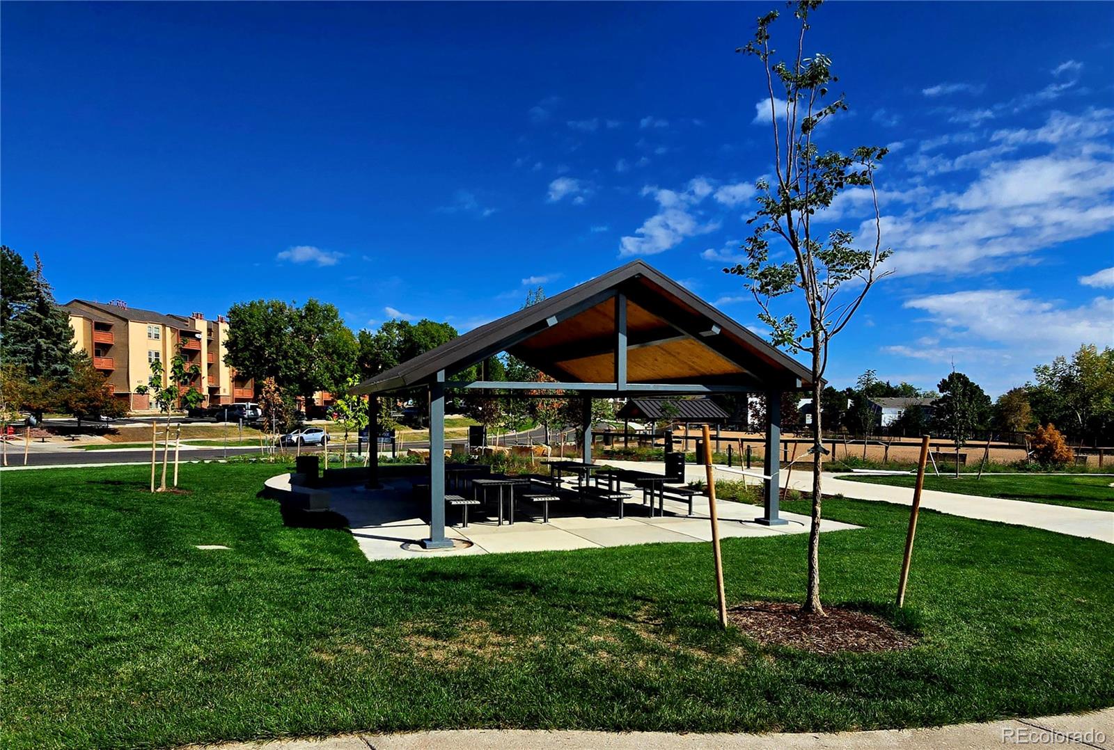 MLS Image #5 for 222  wright street,lakewood, Colorado