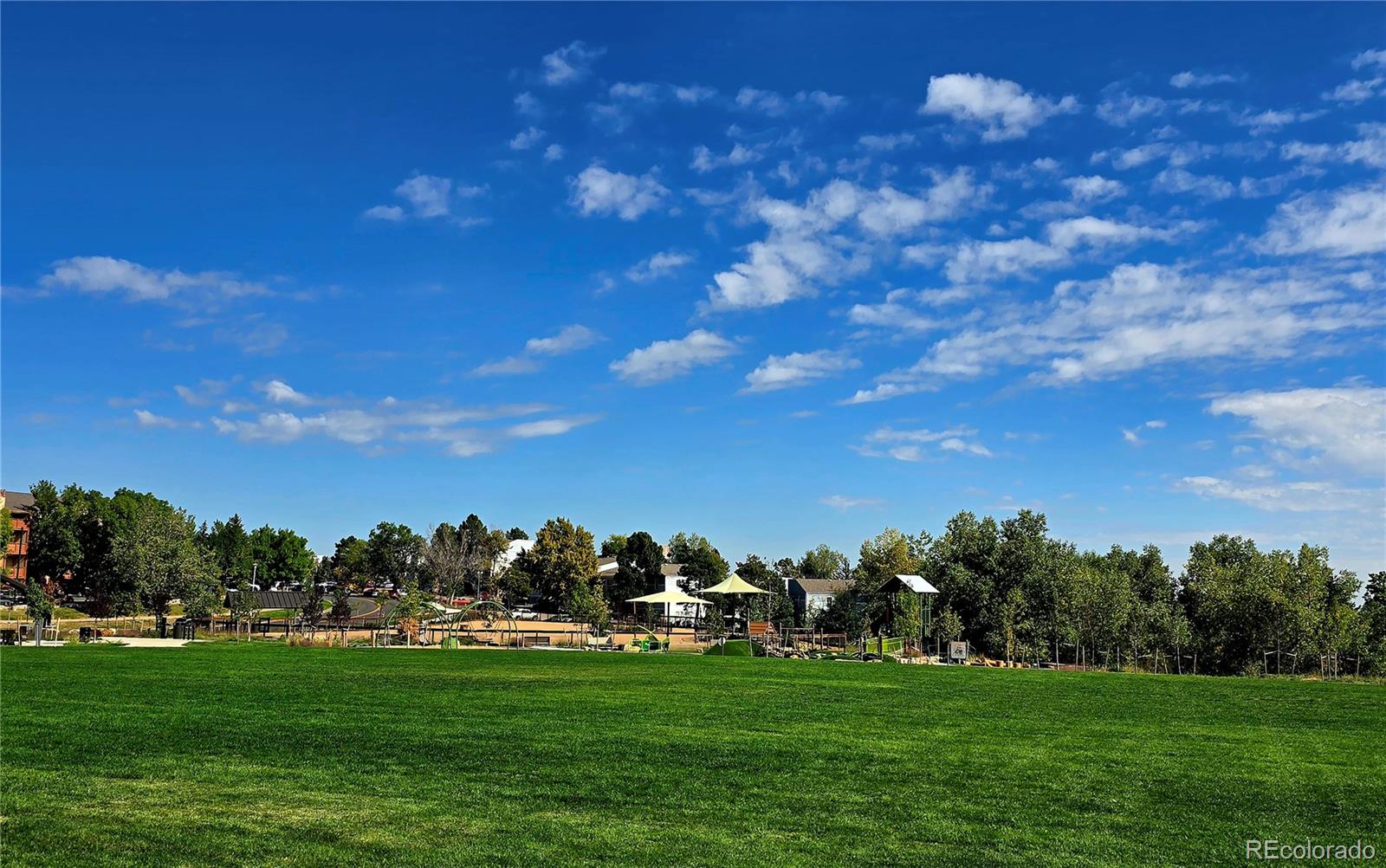 MLS Image #6 for 222  wright street,lakewood, Colorado