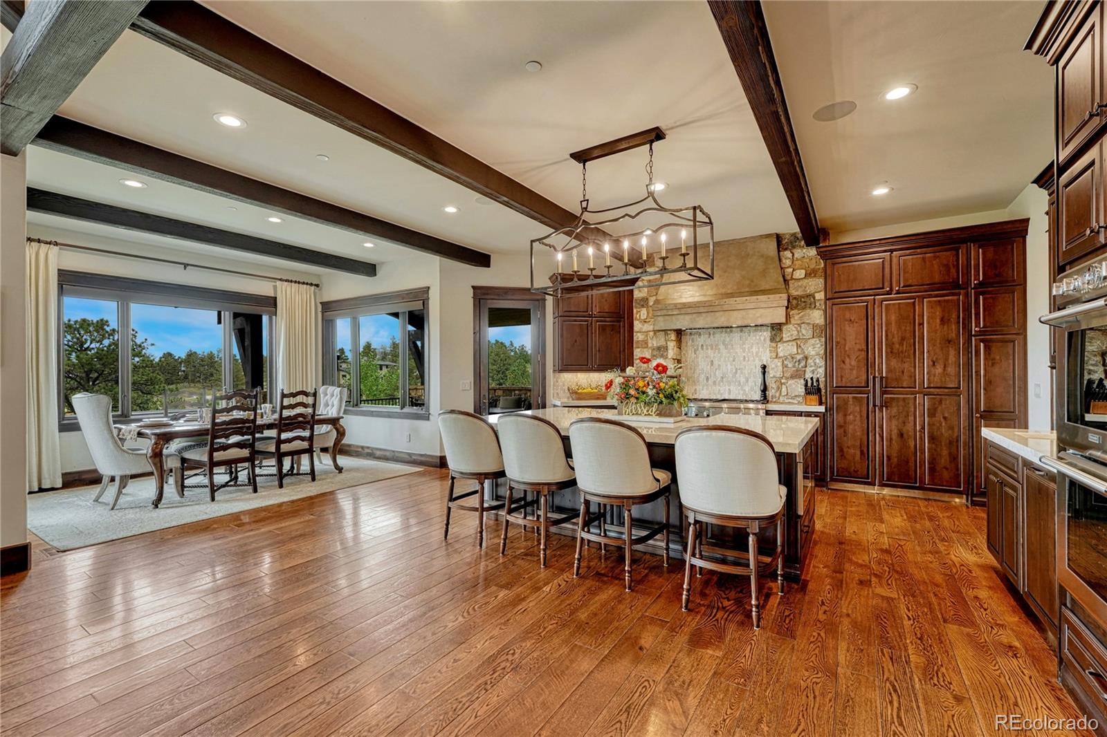 MLS Image #12 for 7996  forest keep circle,parker, Colorado