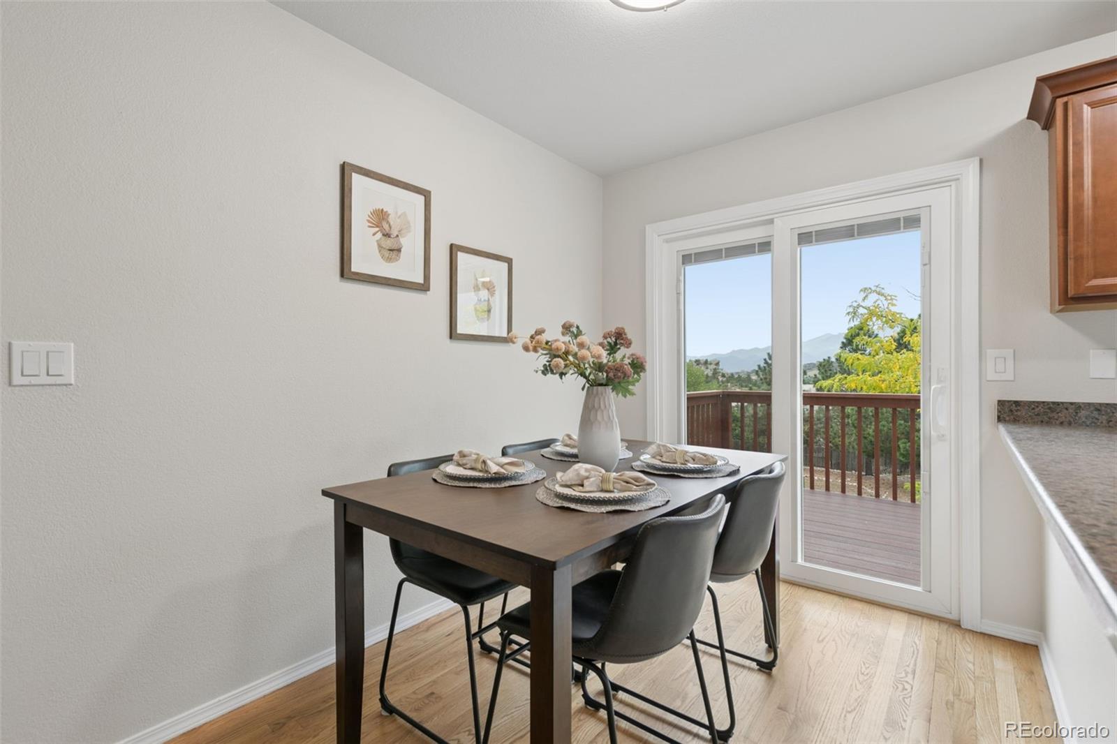 MLS Image #10 for 1909  bristlecone drive ,colorado springs, Colorado
