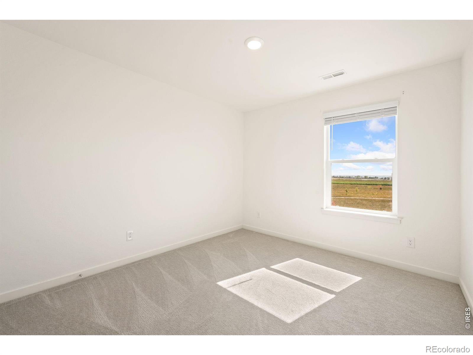 MLS Image #28 for 2410  pineywoods street,mead, Colorado