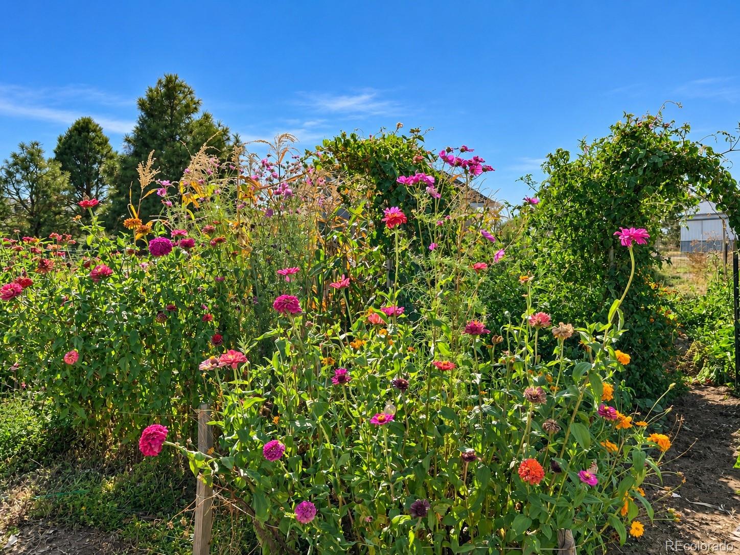 MLS Image #41 for 5207  county road p ,wiggins, Colorado