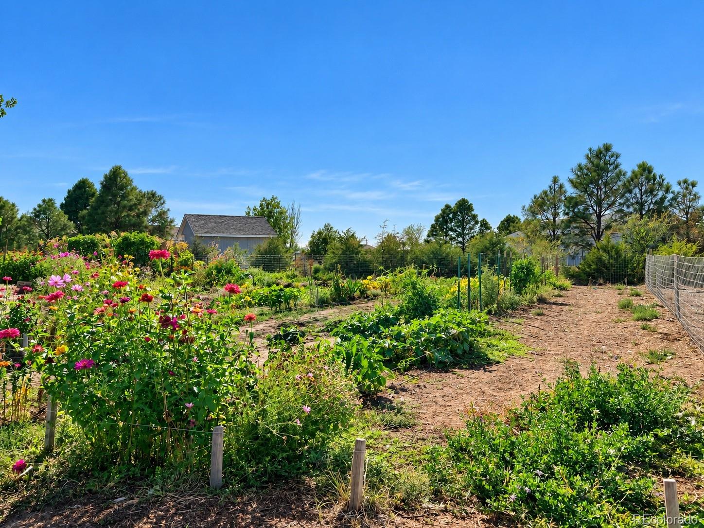 MLS Image #42 for 5207  county road p ,wiggins, Colorado