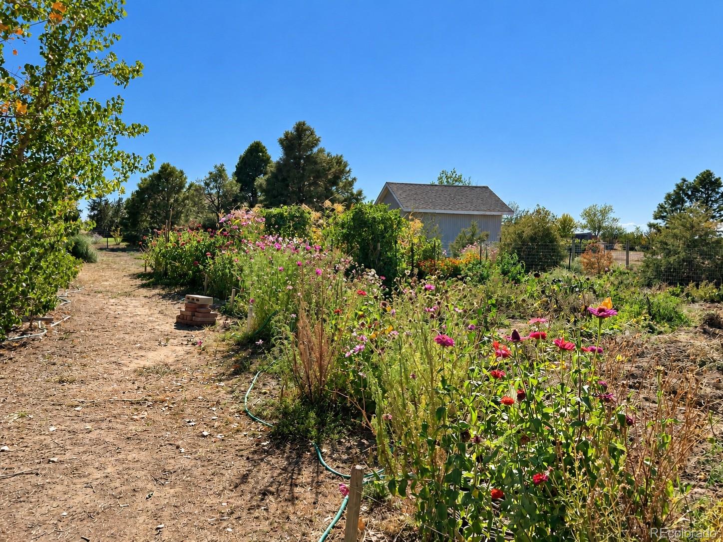 MLS Image #45 for 5207  county road p ,wiggins, Colorado