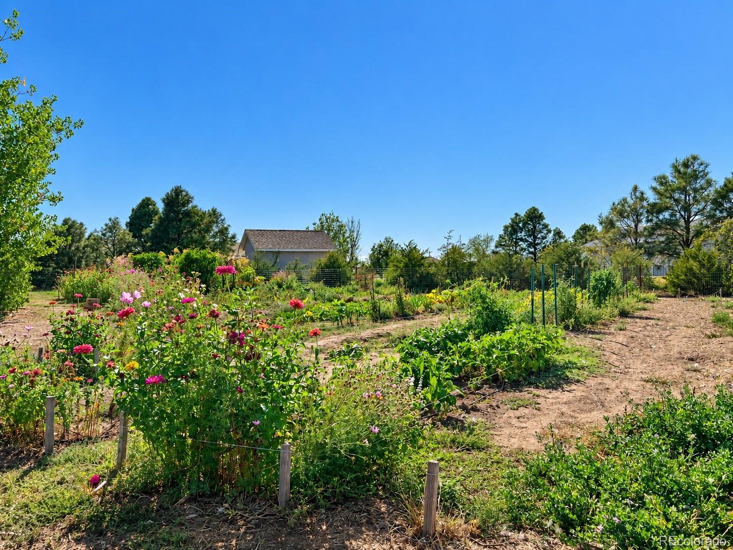 MLS Image #46 for 5207  county road p ,wiggins, Colorado