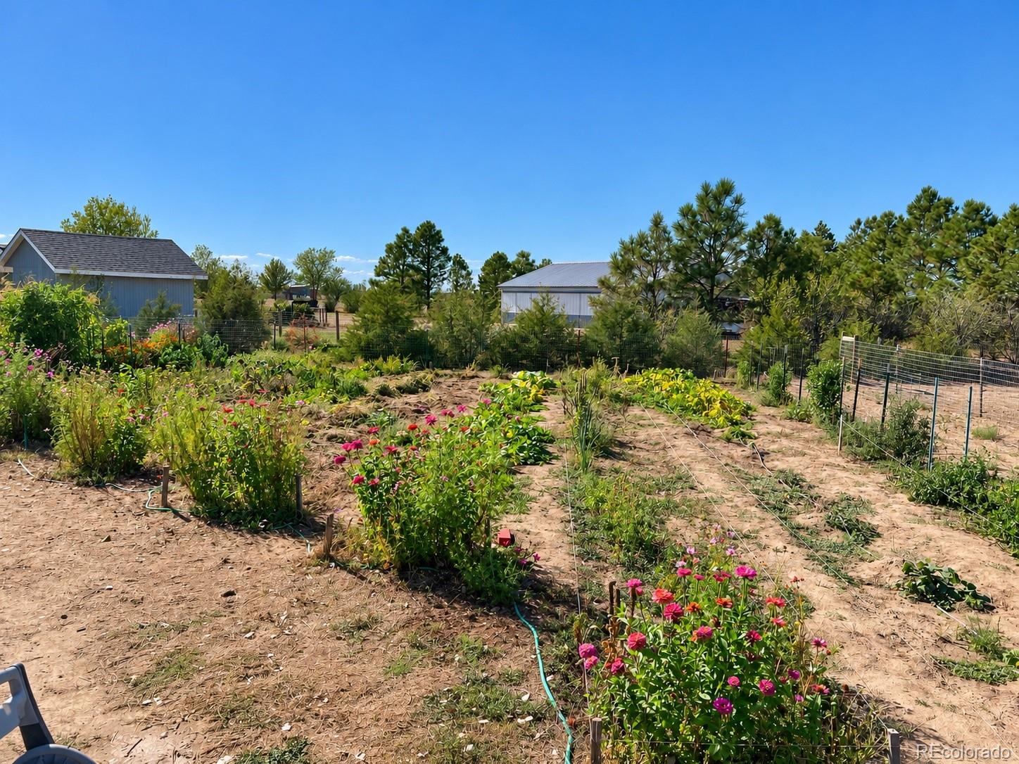 MLS Image #47 for 5207  county road p ,wiggins, Colorado