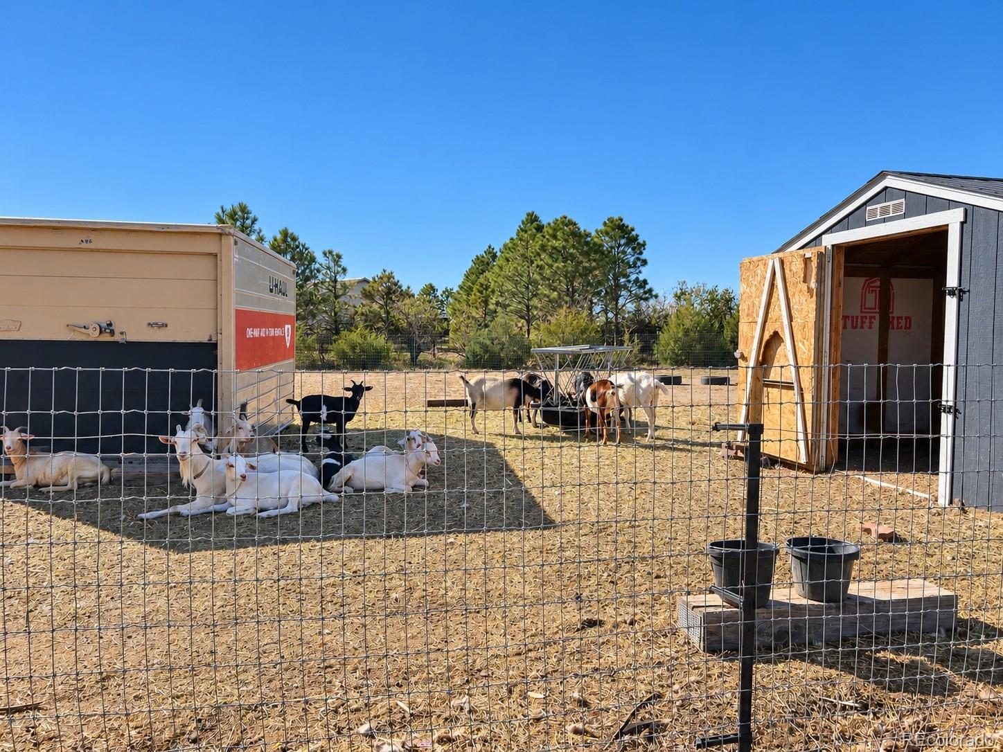 MLS Image #48 for 5207  county road p ,wiggins, Colorado
