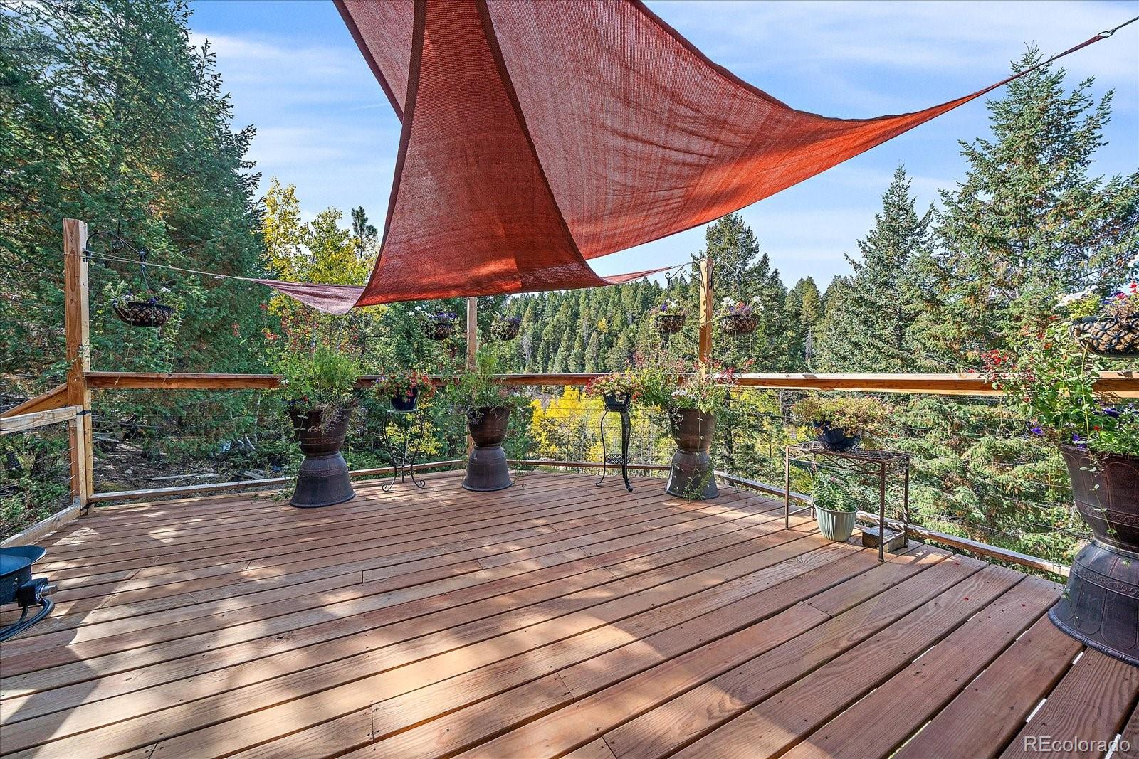 MLS Image #16 for 12130 s critchell lane,littleton, Colorado