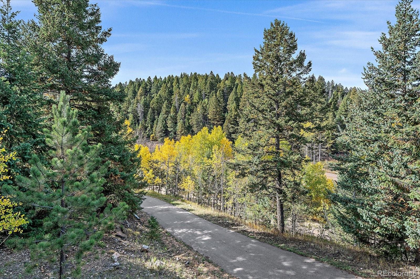 MLS Image #21 for 12130 s critchell lane,littleton, Colorado