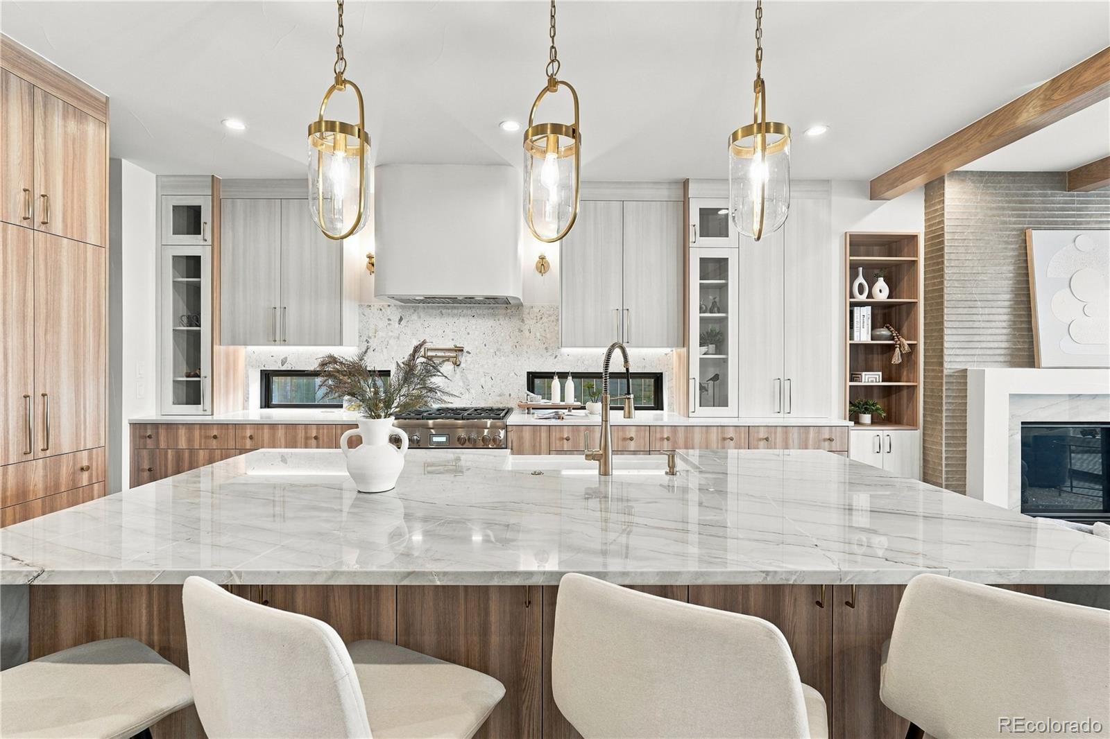 MLS Image #13 for 1608 s washington street,denver, Colorado