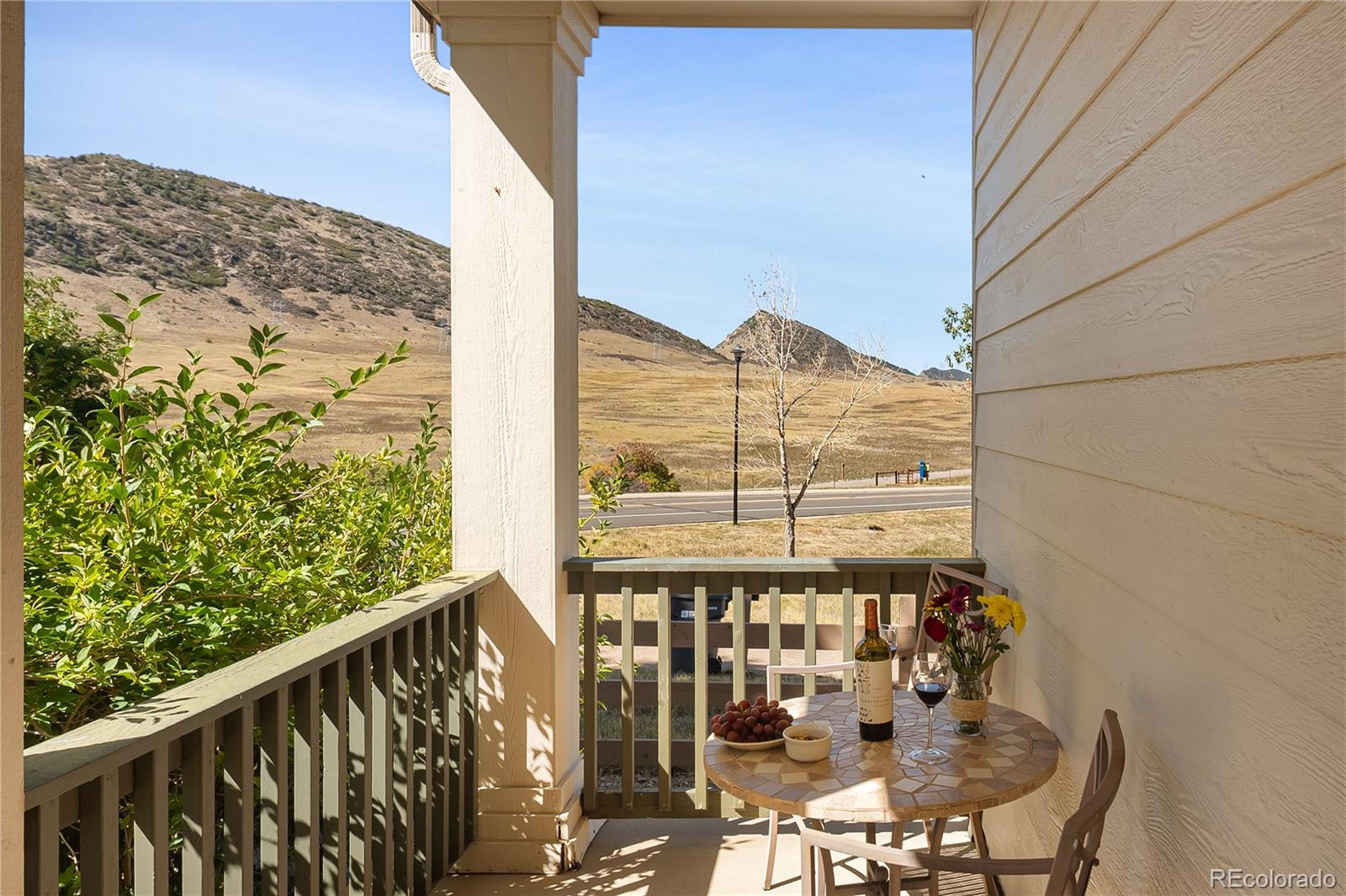 MLS Image #1 for 9600 s johnson street,littleton, Colorado
