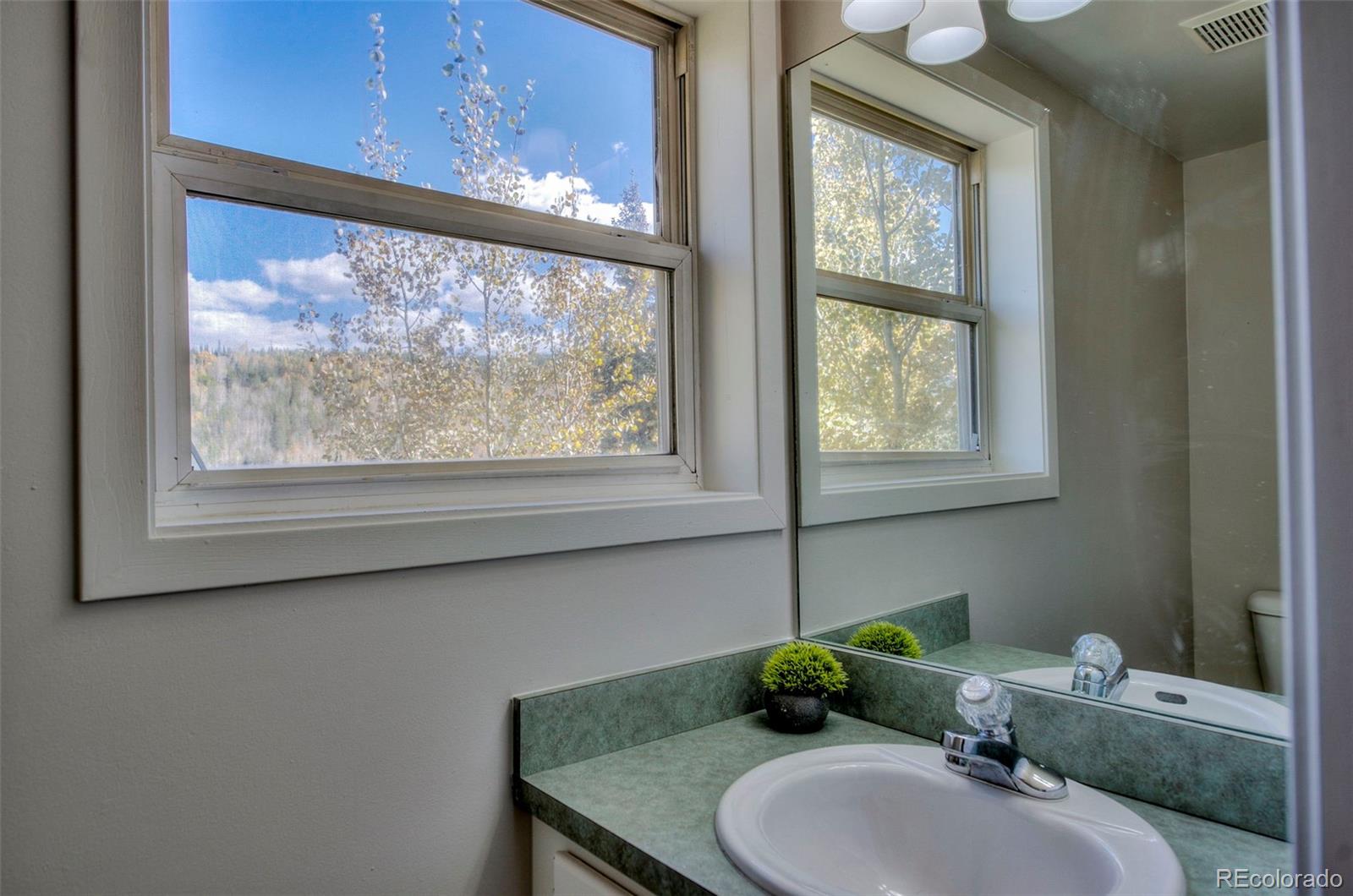 MLS Image #12 for 152  fawn court,silverthorne, Colorado