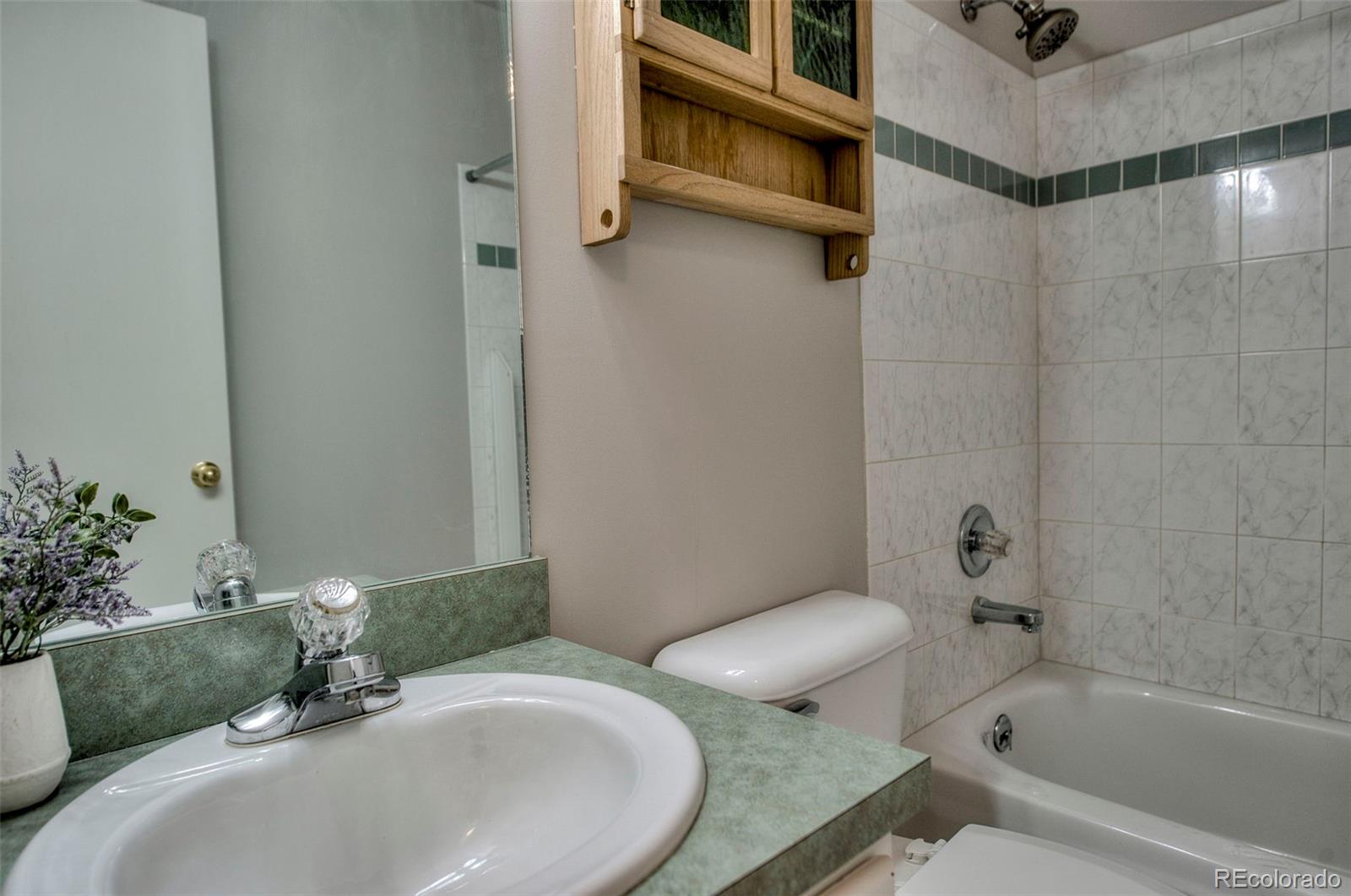MLS Image #24 for 152  fawn court,silverthorne, Colorado