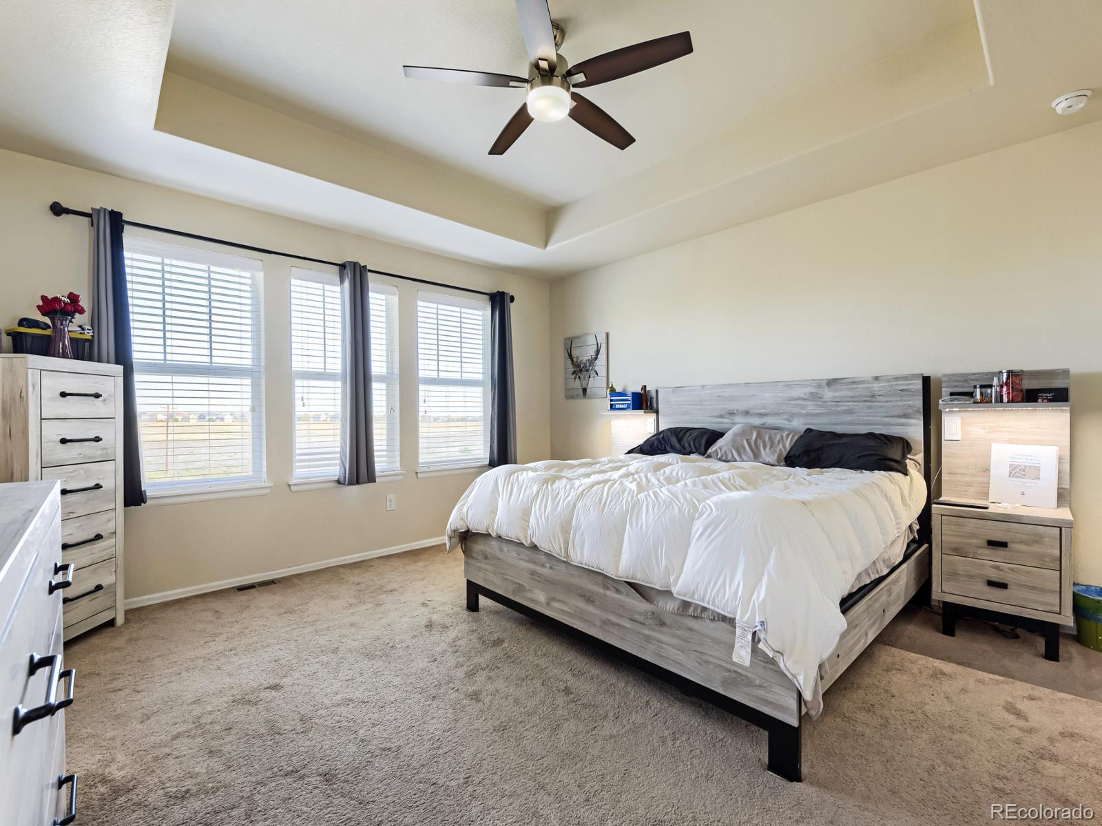 MLS Image #19 for 7245 e 133rd circle,thornton, Colorado