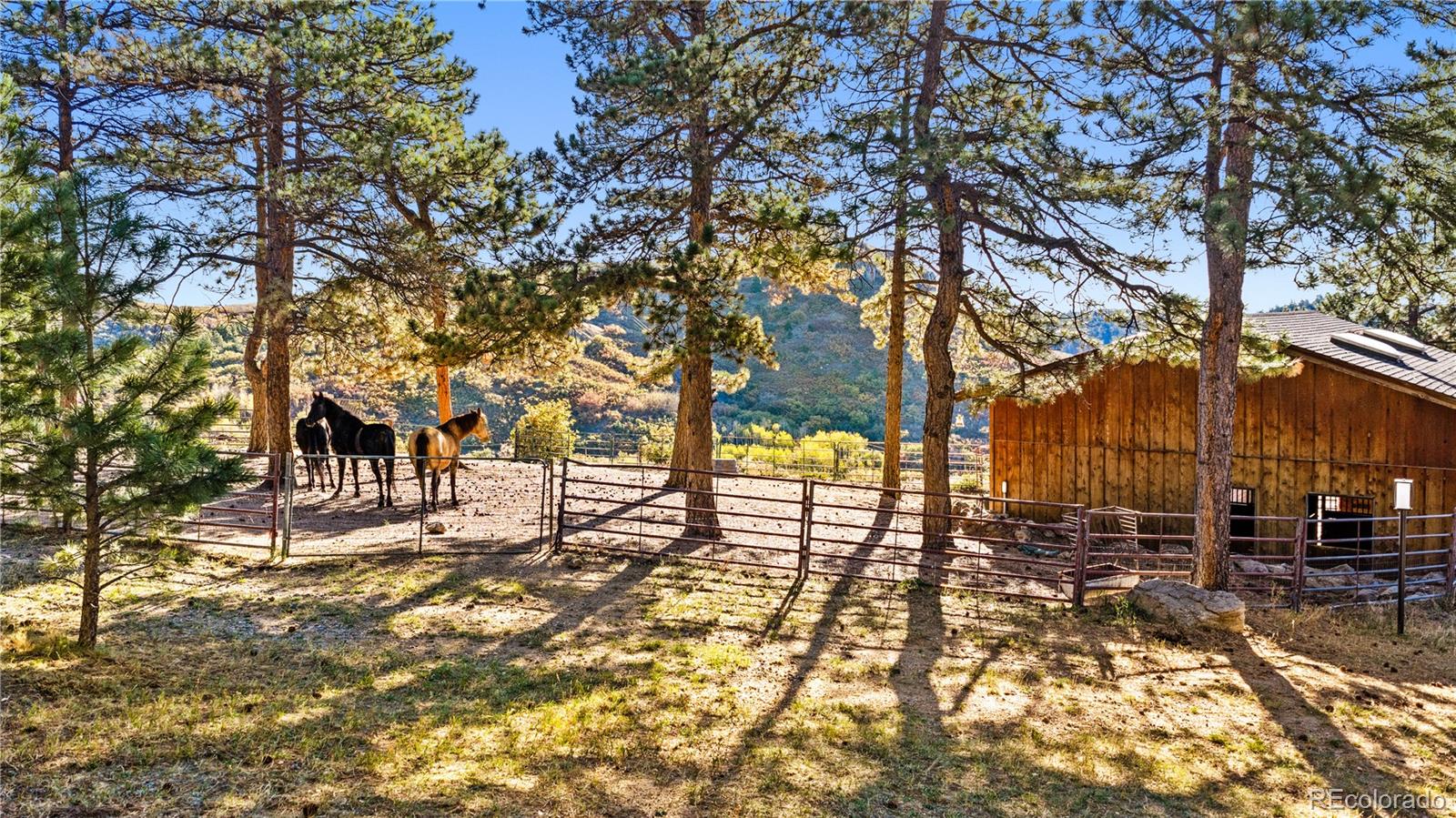 MLS Image #38 for 60 w ranch trail,morrison, Colorado