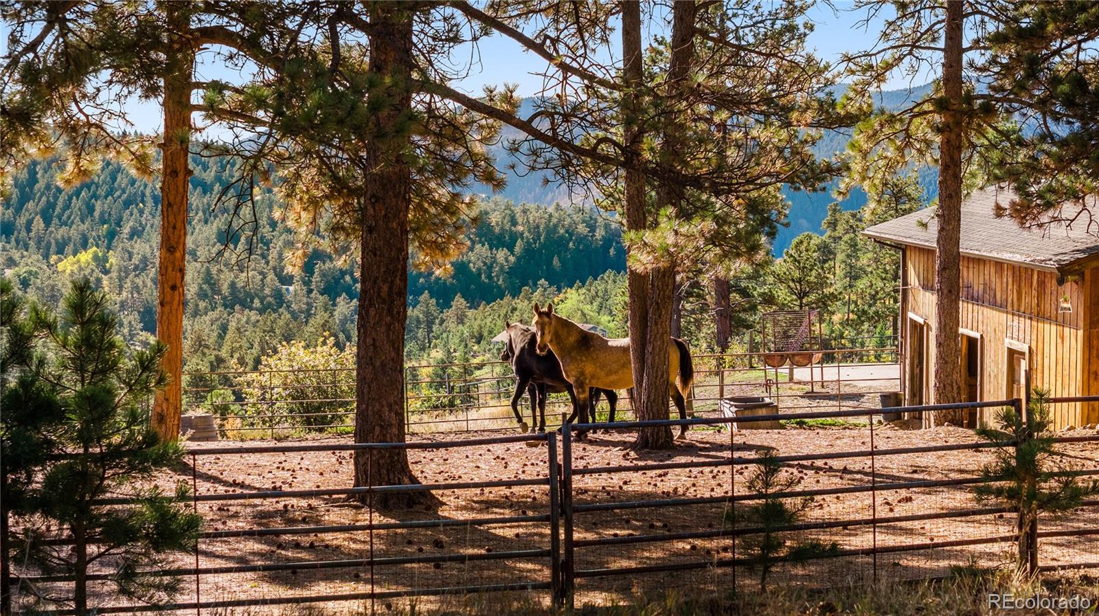 MLS Image #39 for 60 w ranch trail,morrison, Colorado