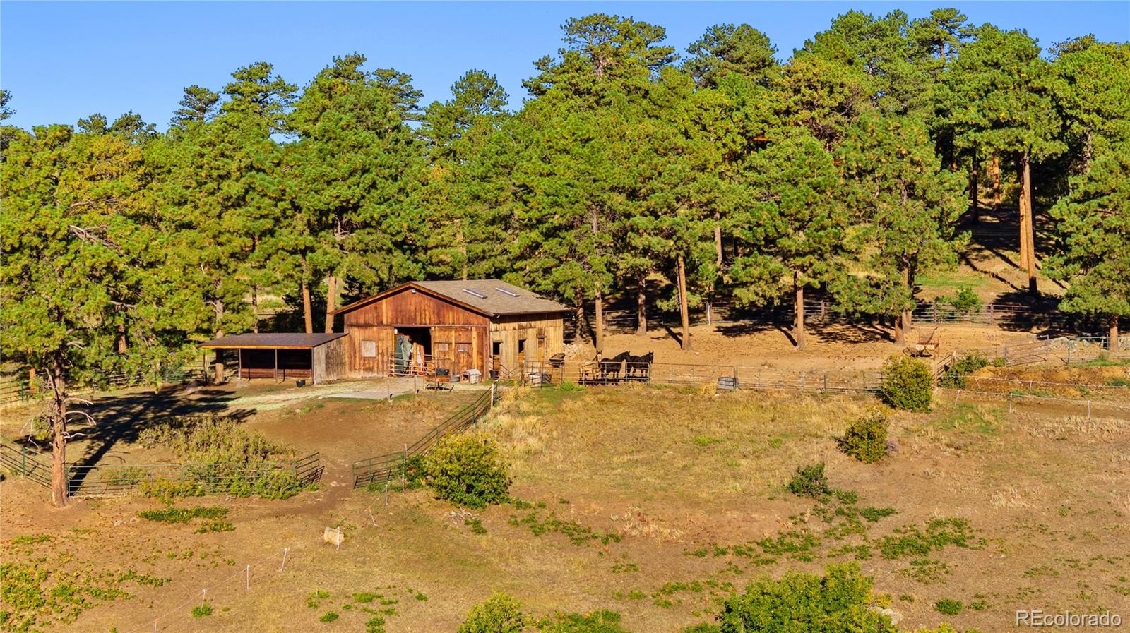 MLS Image #40 for 60 w ranch trail,morrison, Colorado