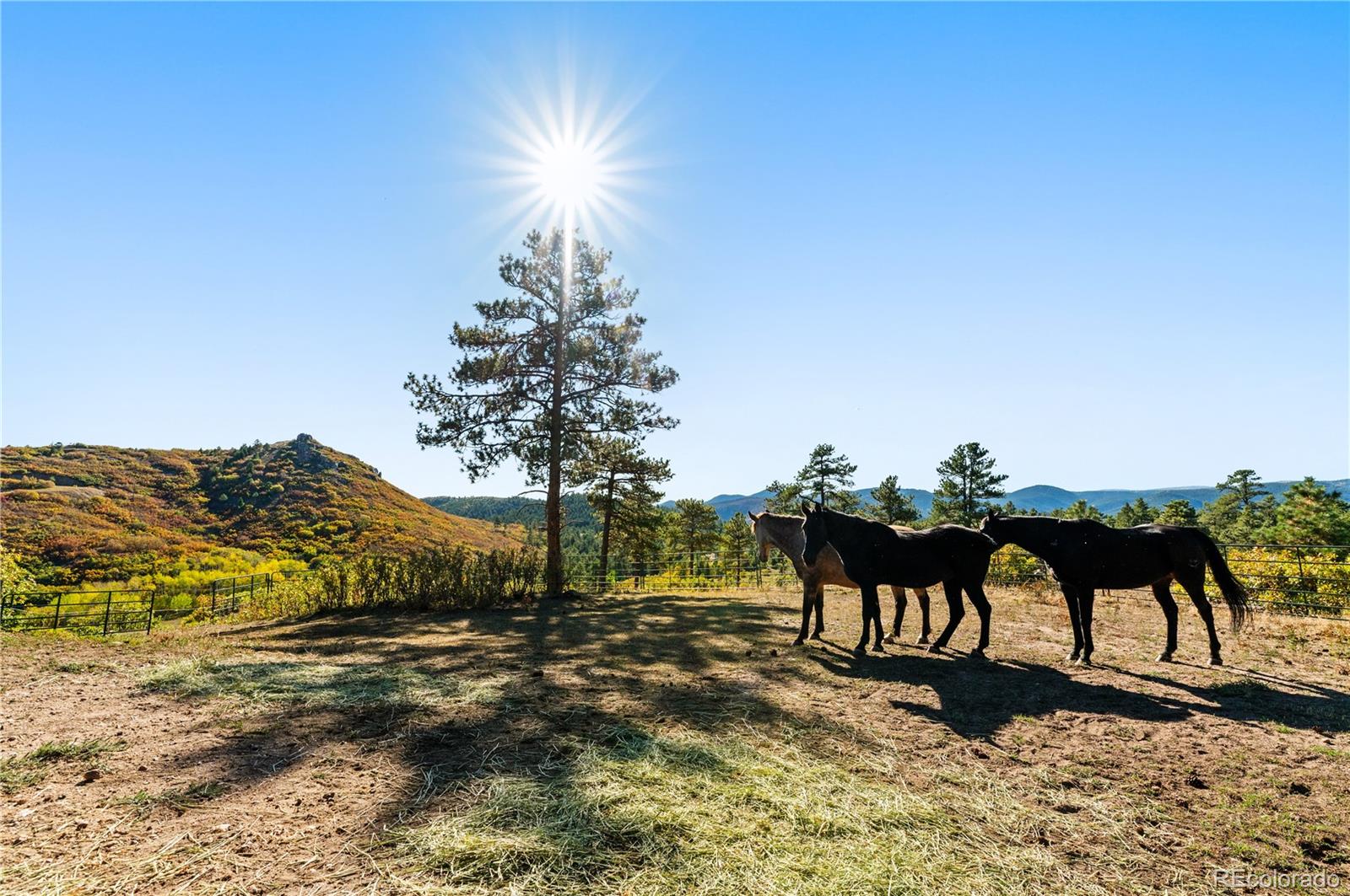 MLS Image #46 for 60 w ranch trail,morrison, Colorado
