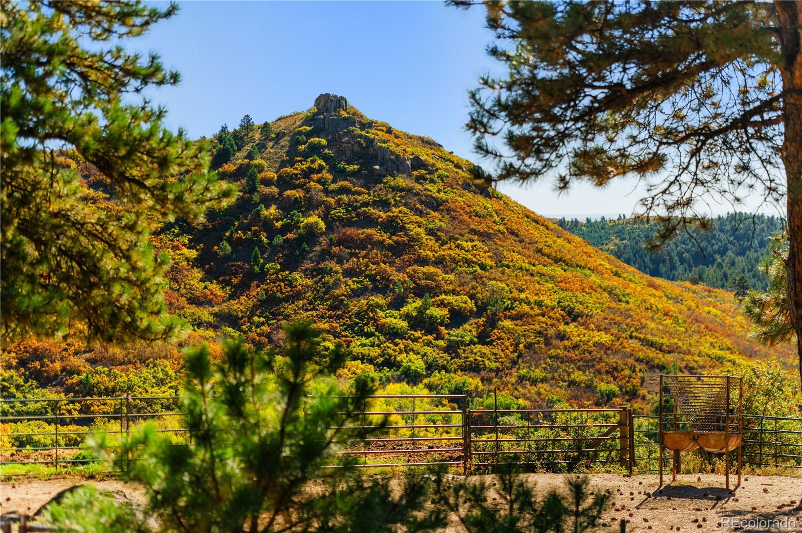 MLS Image #49 for 60 w ranch trail,morrison, Colorado