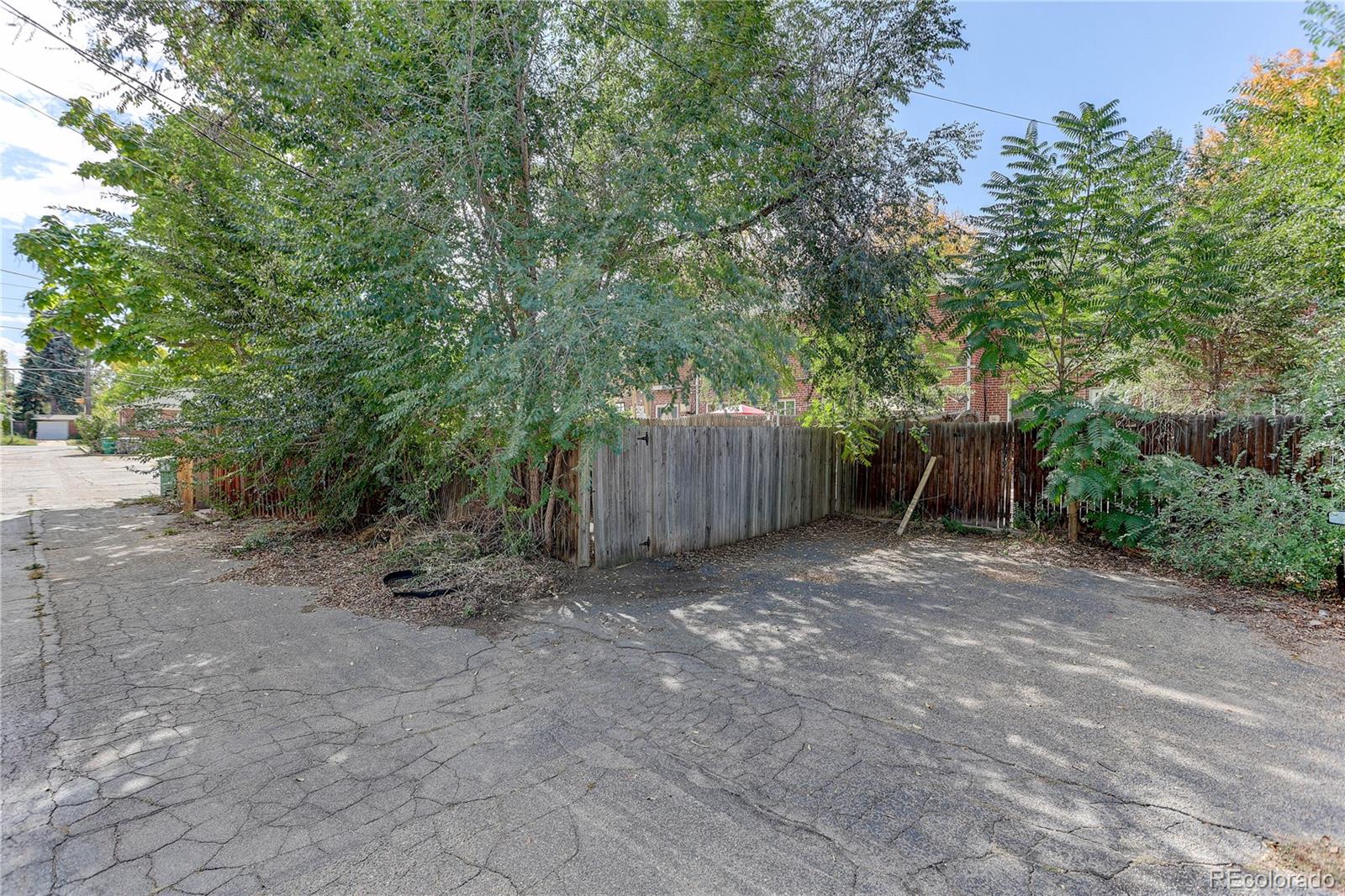MLS Image #23 for 1340  ivanhoe street,denver, Colorado