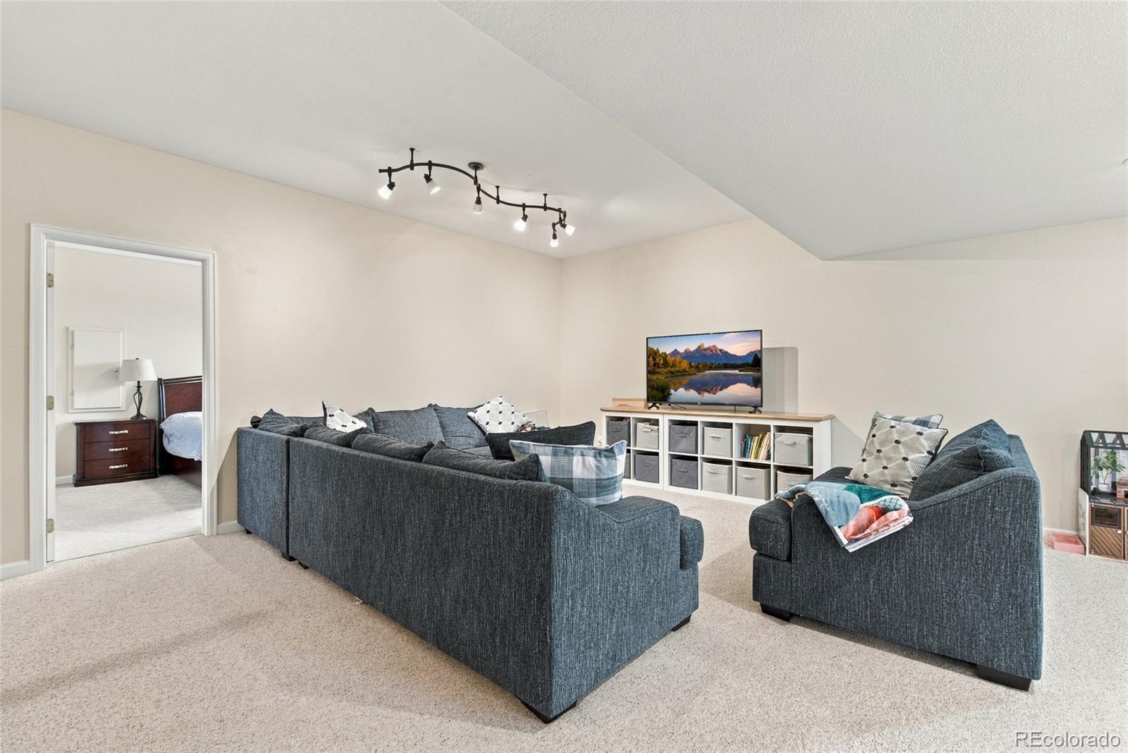 MLS Image #26 for 6911  chestnut court,parker, Colorado