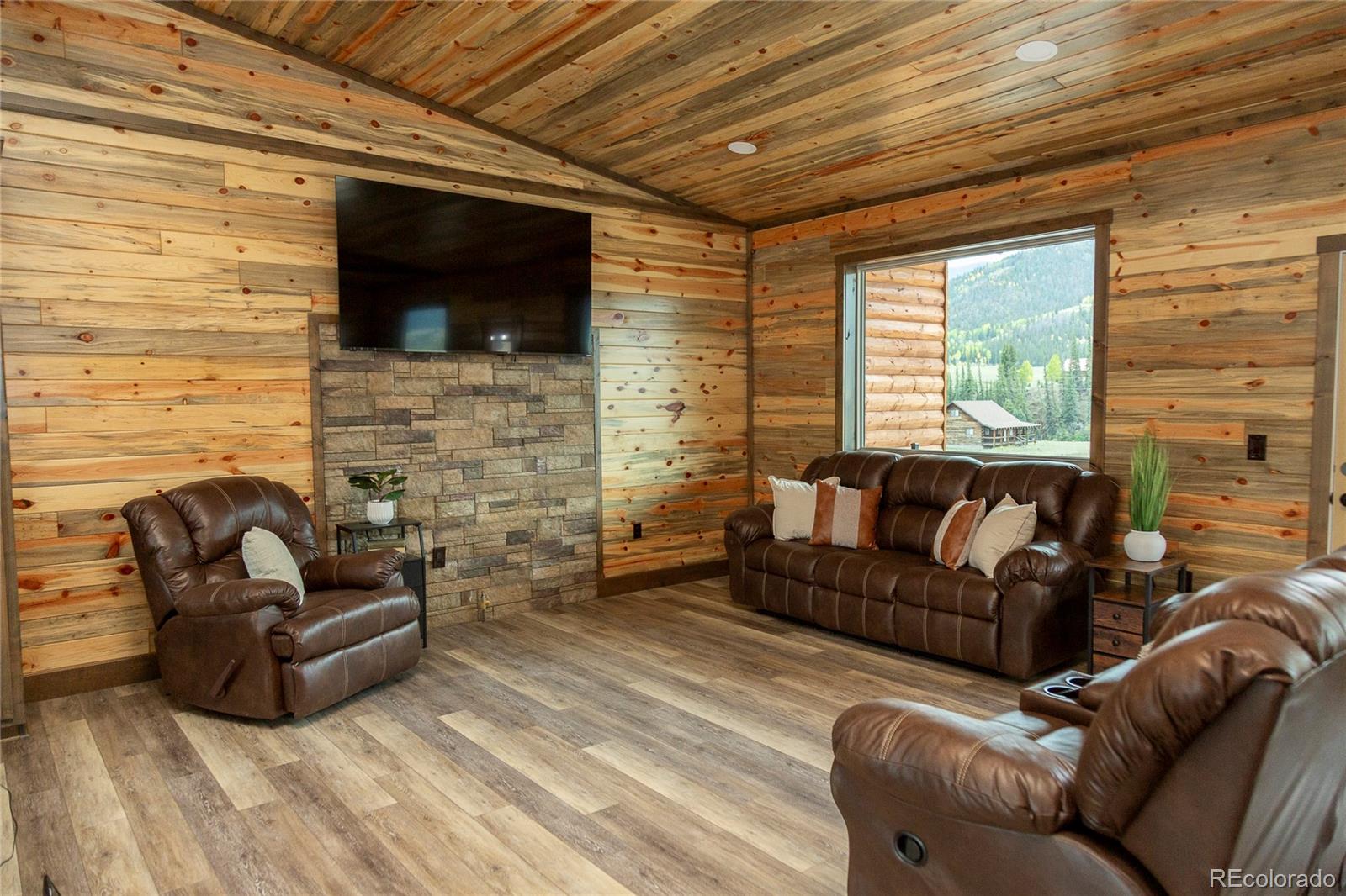 MLS Image #3 for 431  river drive,creede, Colorado