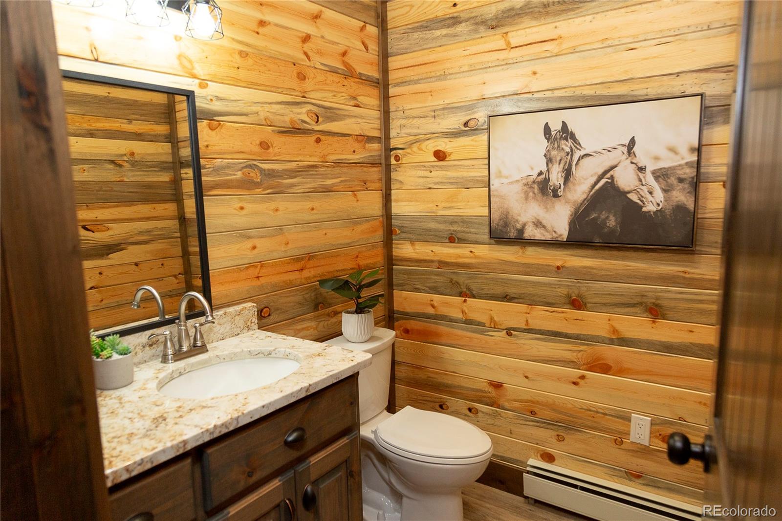 MLS Image #4 for 431  river drive,creede, Colorado