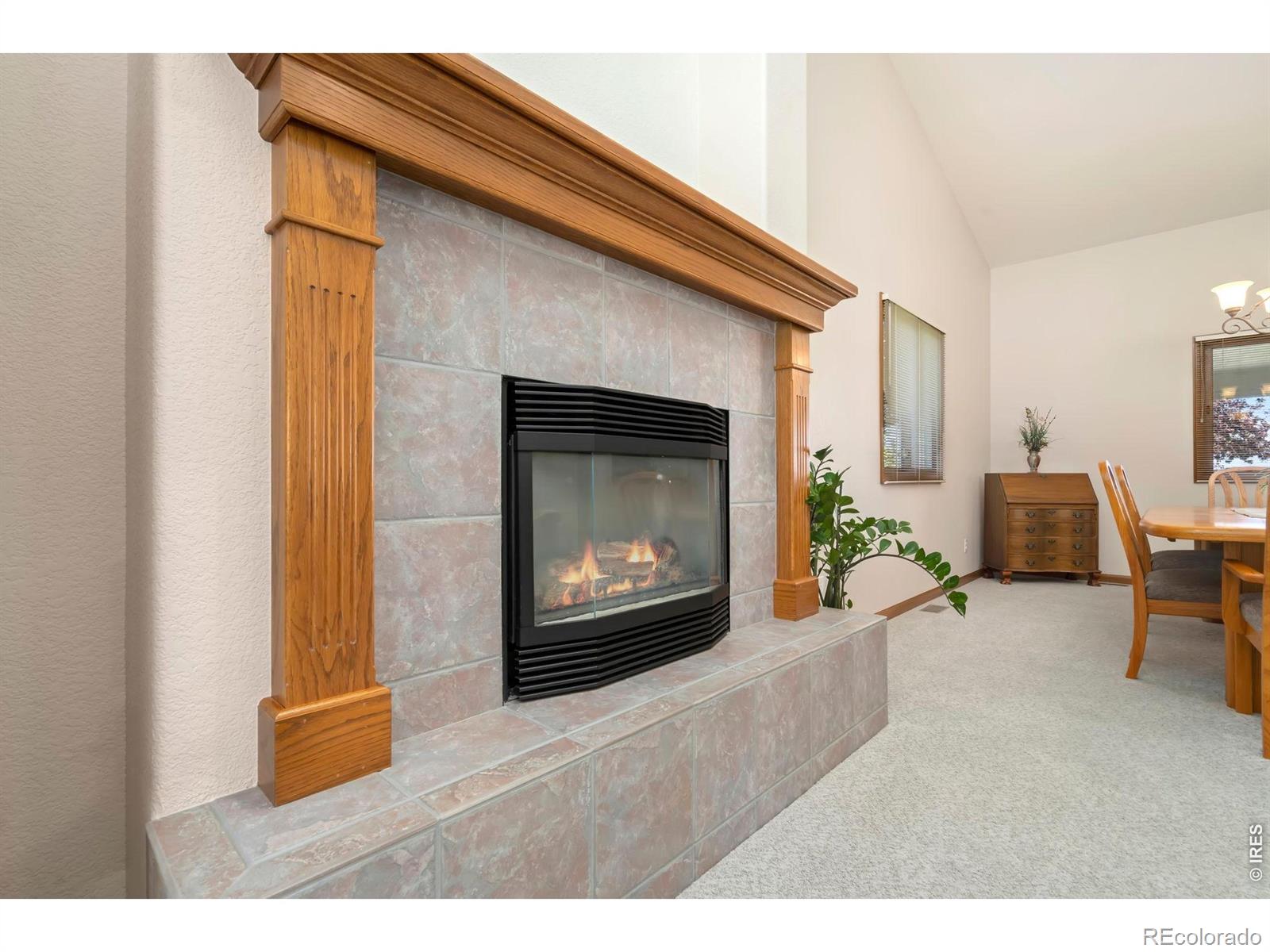 MLS Image #10 for 2238  breckenridge drive,berthoud, Colorado