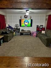 MLS Image #14 for 245  ivy street,sanford, Colorado