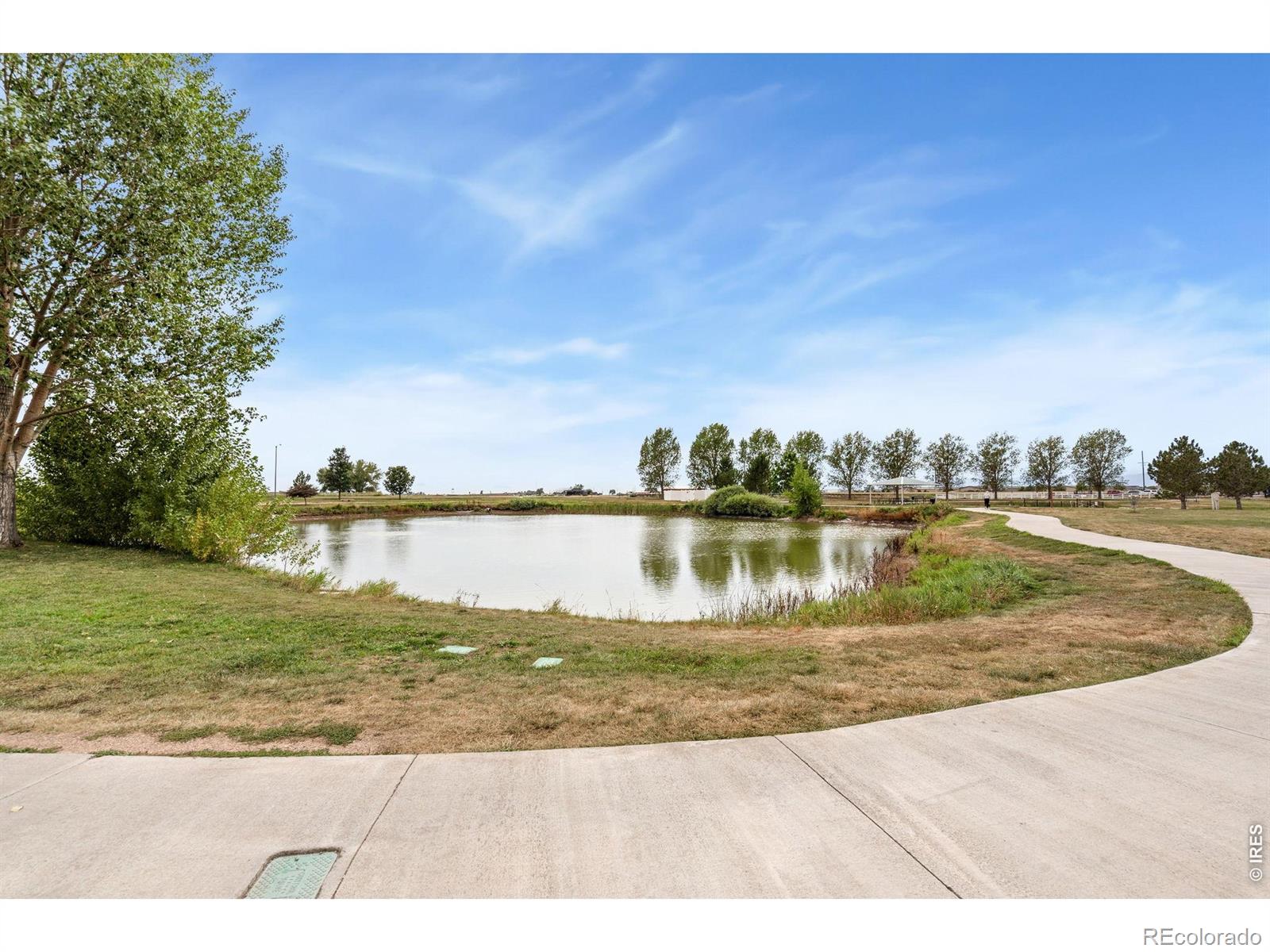 MLS Image #19 for 7013  loudon street,wellington, Colorado
